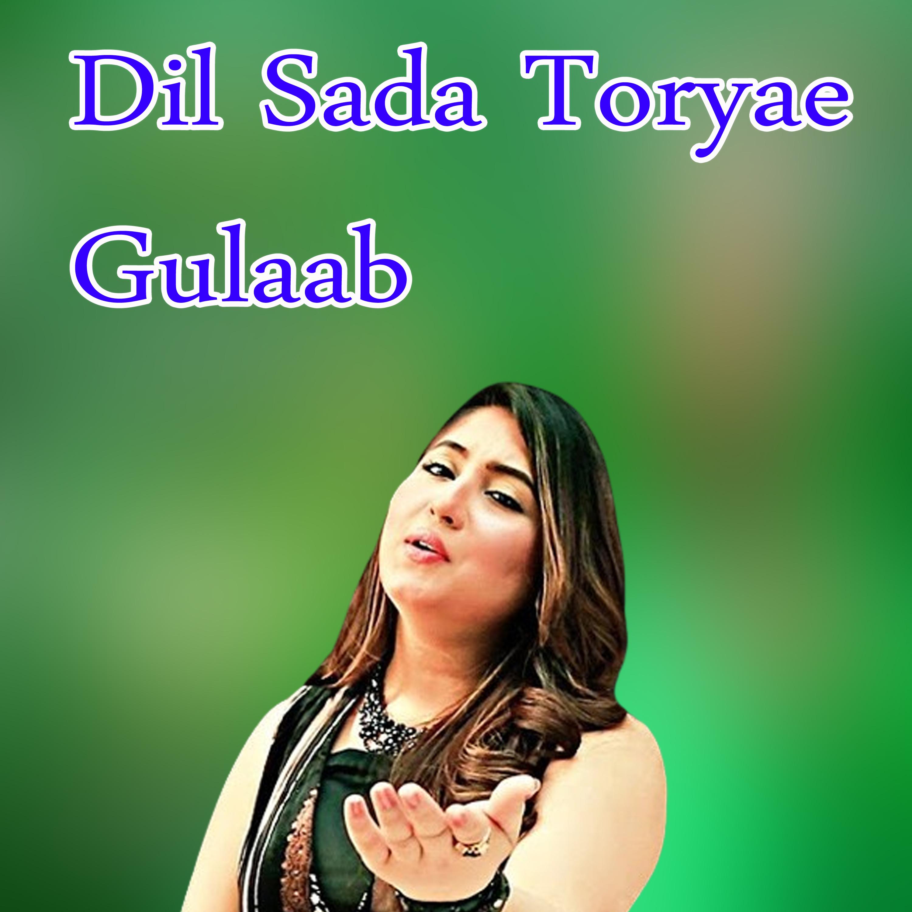 Постер альбома Dil Sada Toryae Gulaab