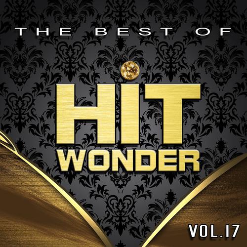 Постер альбома Hit Wonder: The Best Of, Vol. 17