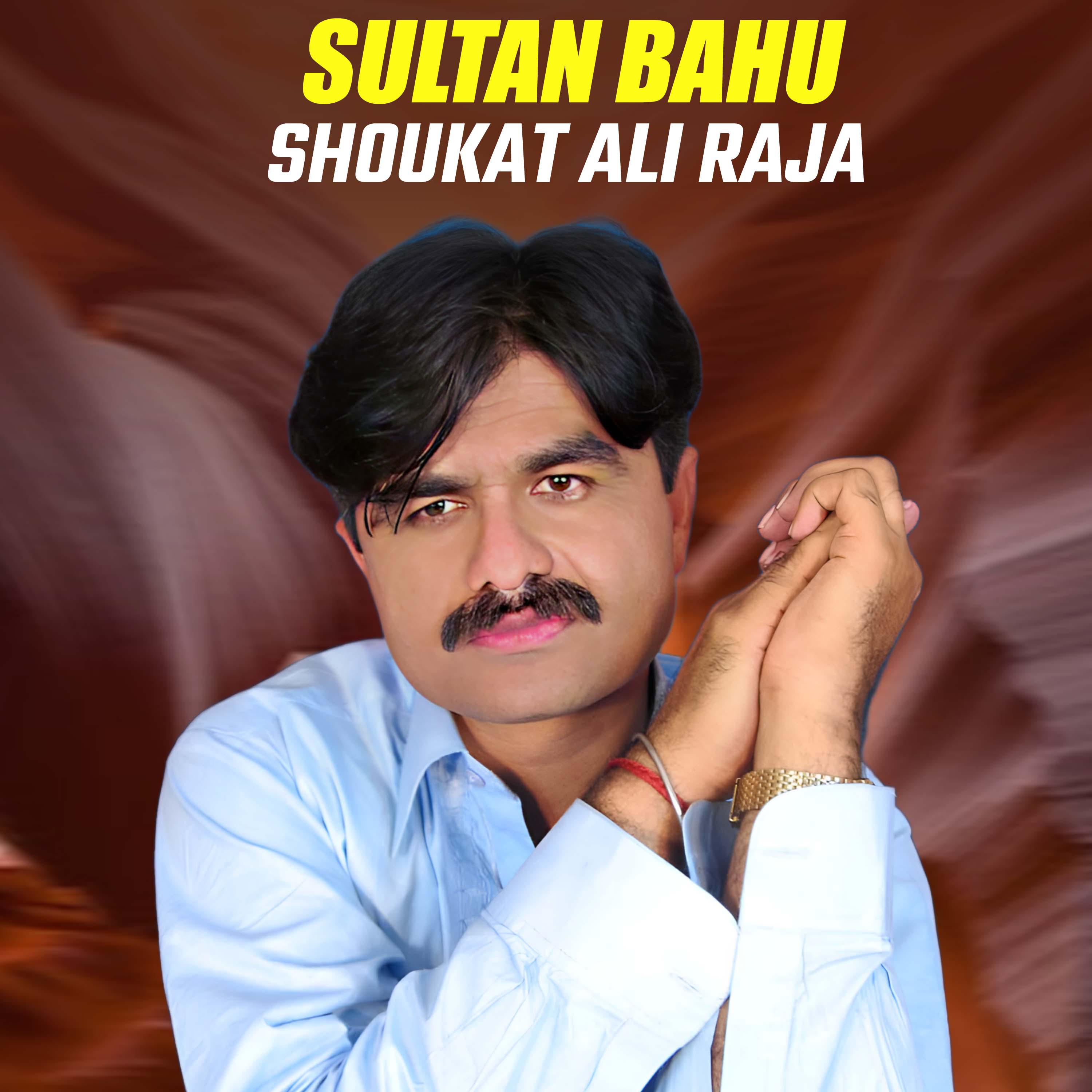 Постер альбома Sultan Bahu