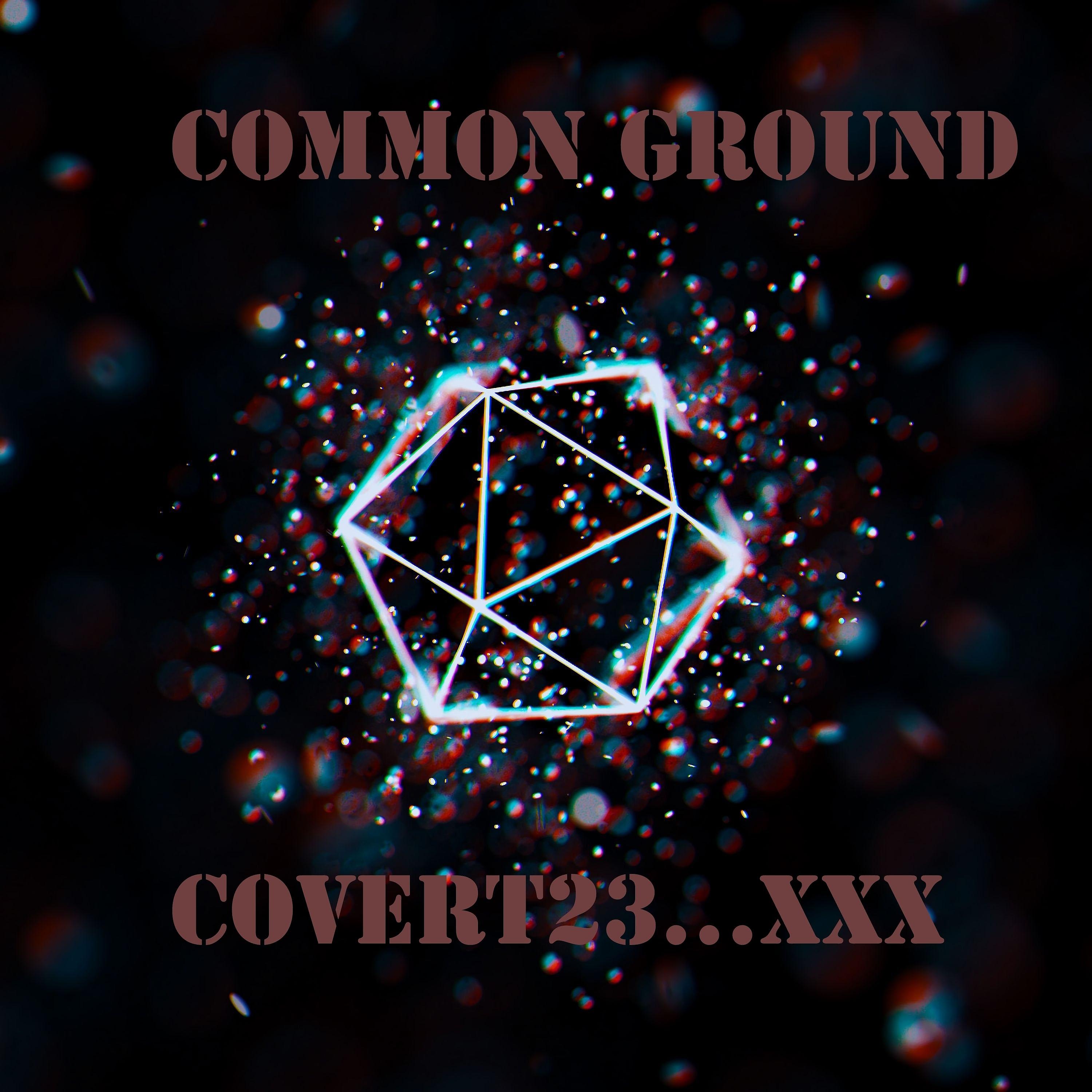 Постер альбома Common Ground... Xxx