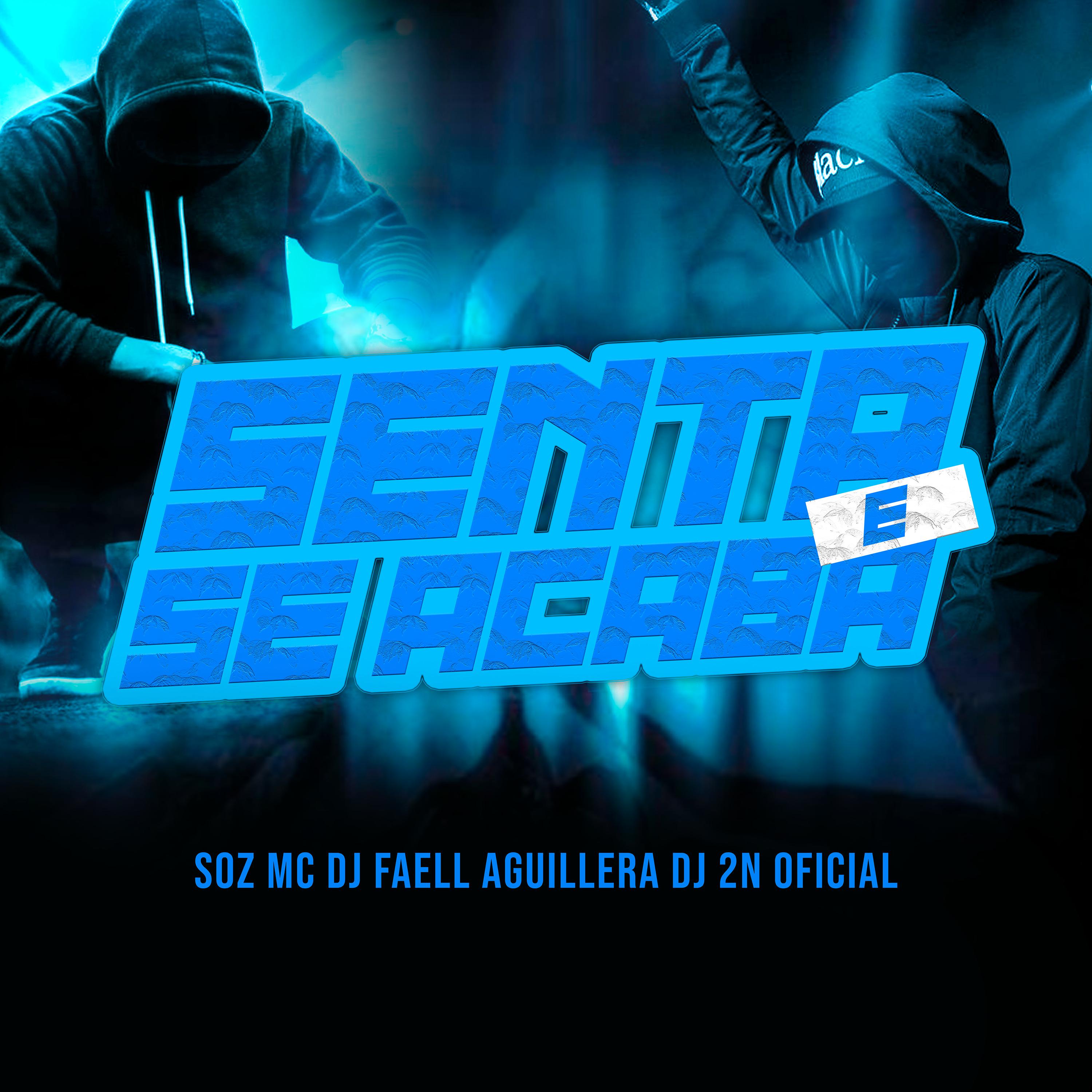 Постер альбома Senta e Se Acaba