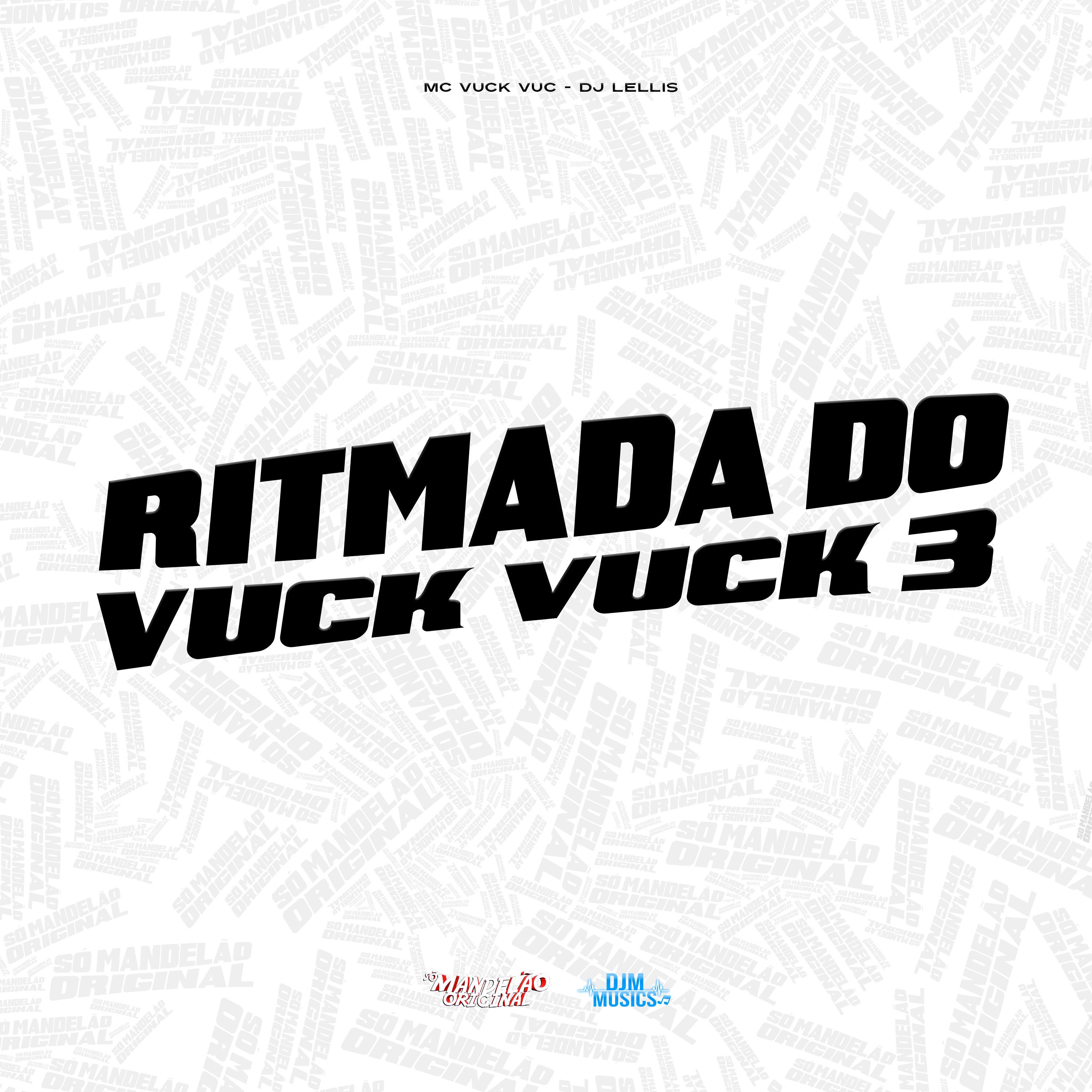 Постер альбома Ritmada do Vuck Vuck 3