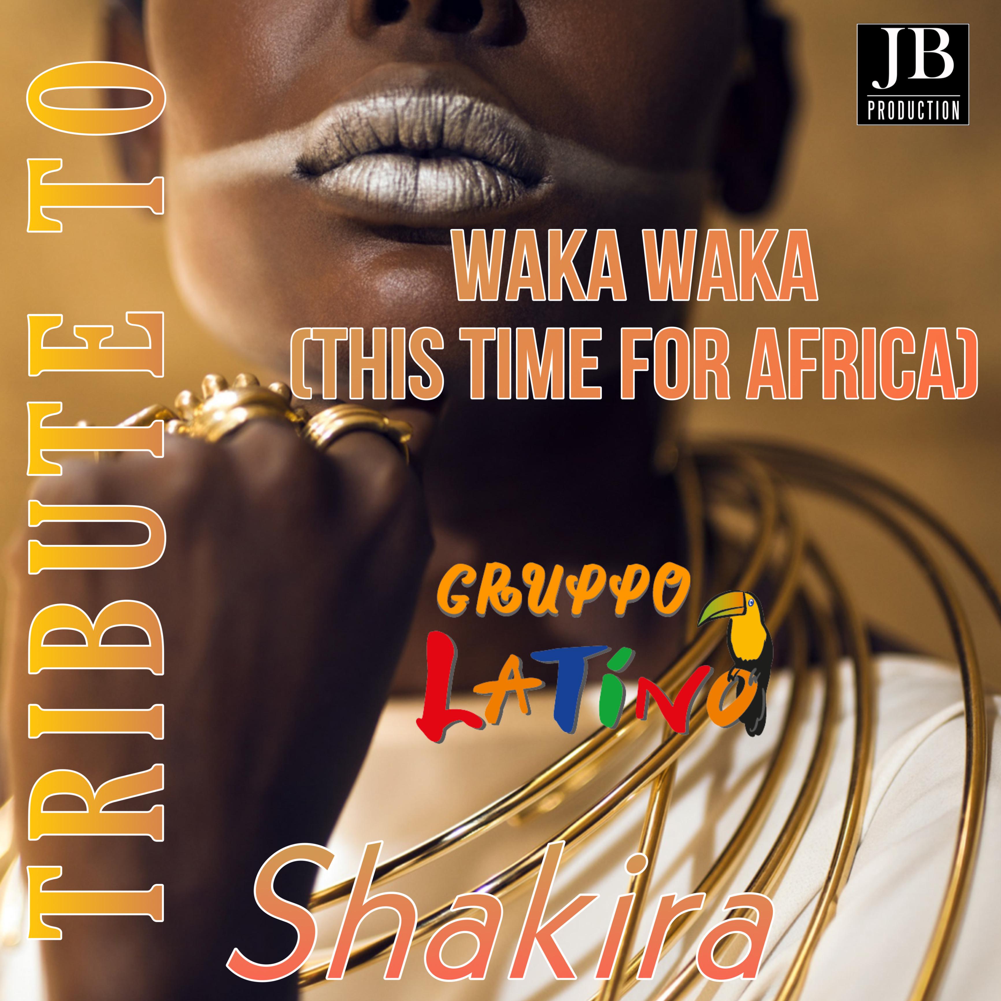 Постер альбома WAKA WAKA (This Time For Africa)