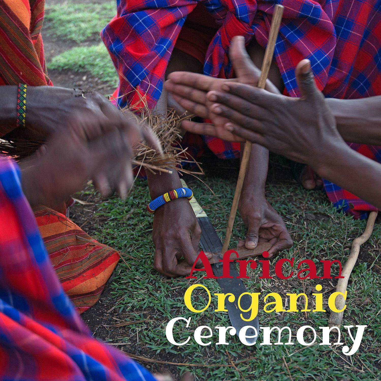 Постер альбома African Organic Ceremony: Reviving Ancestral Traditions with Ritual Drums