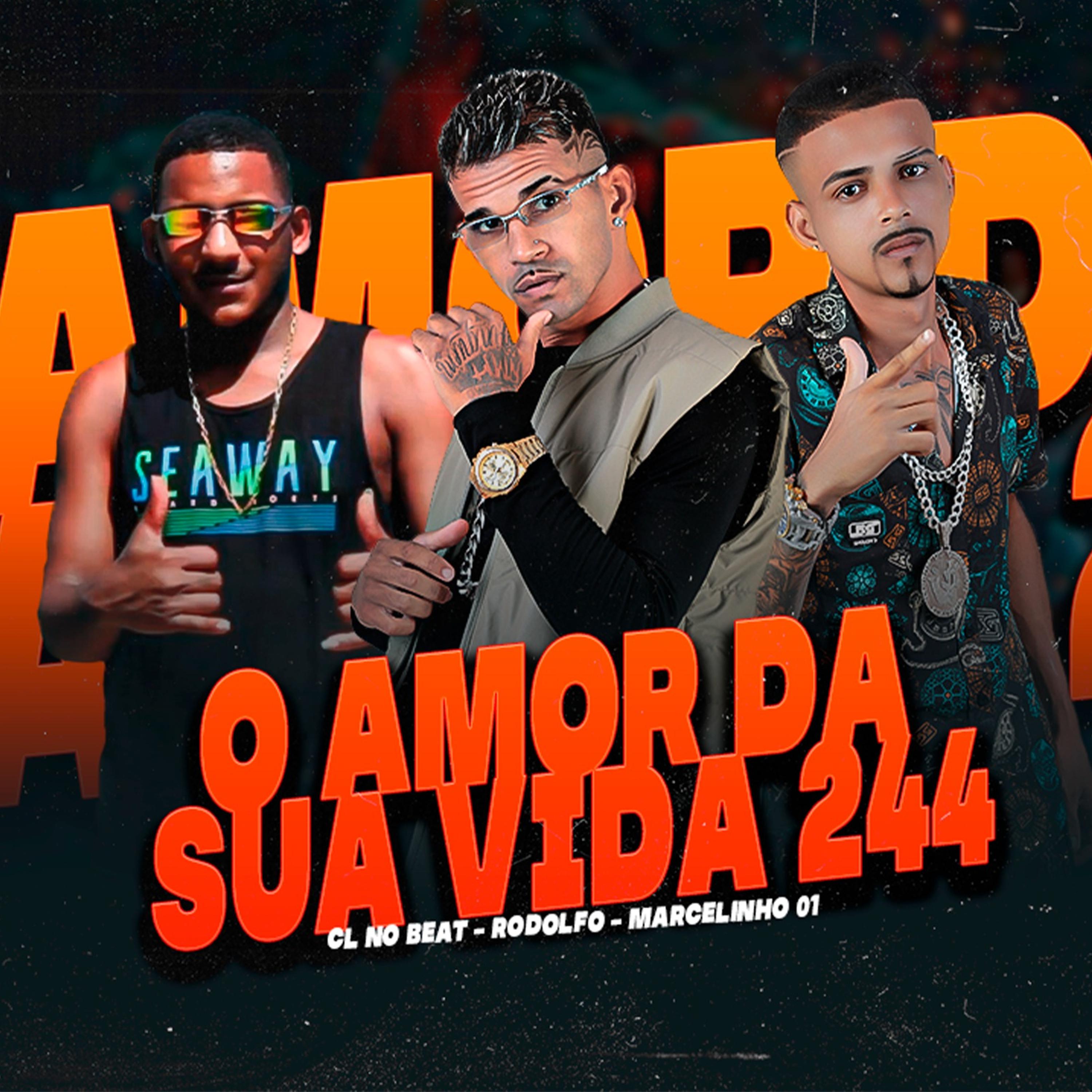 Постер альбома O Amor da Sua Vida 244