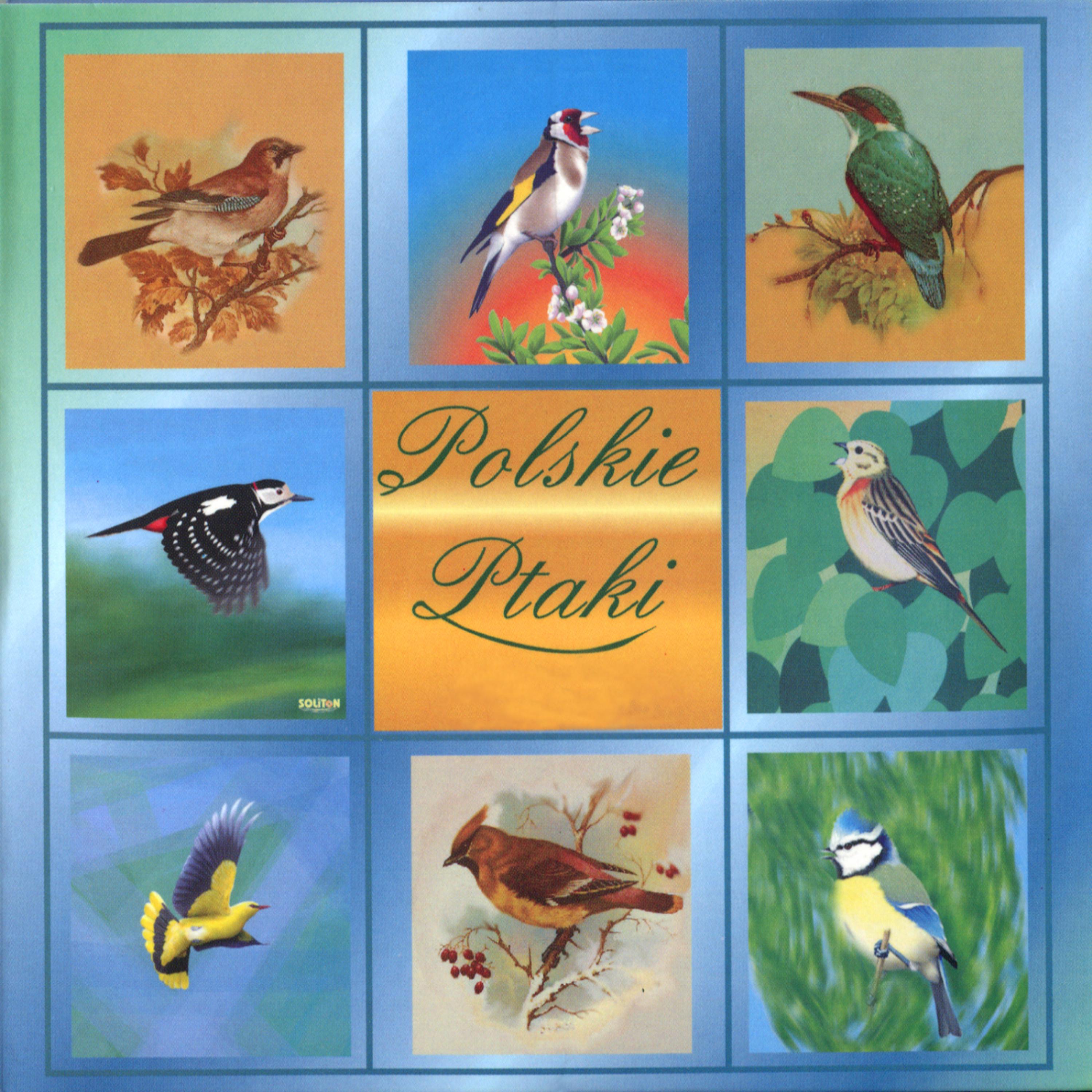 Постер альбома Polish Birds - Polskie Ptaki