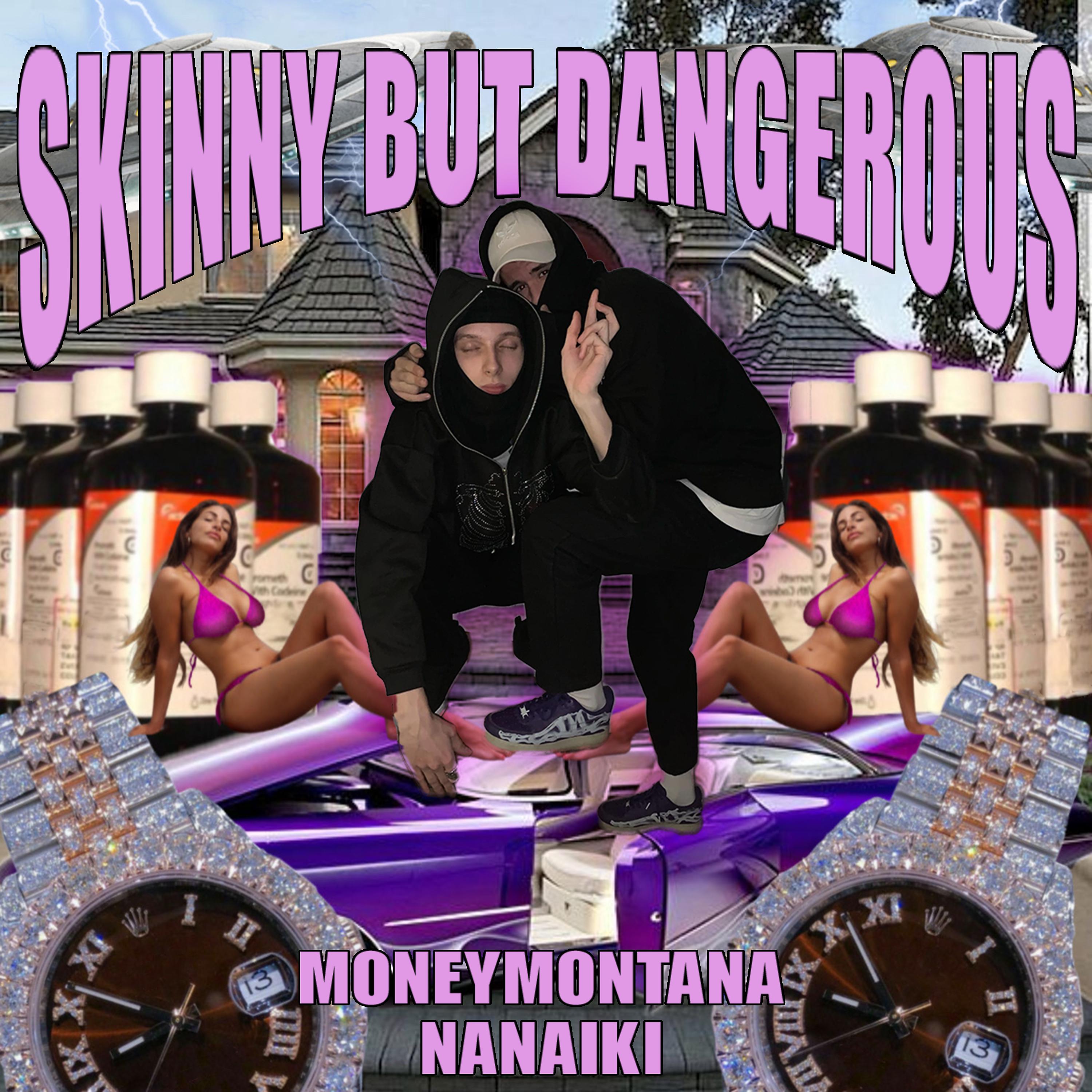Постер альбома skinny but dangerous