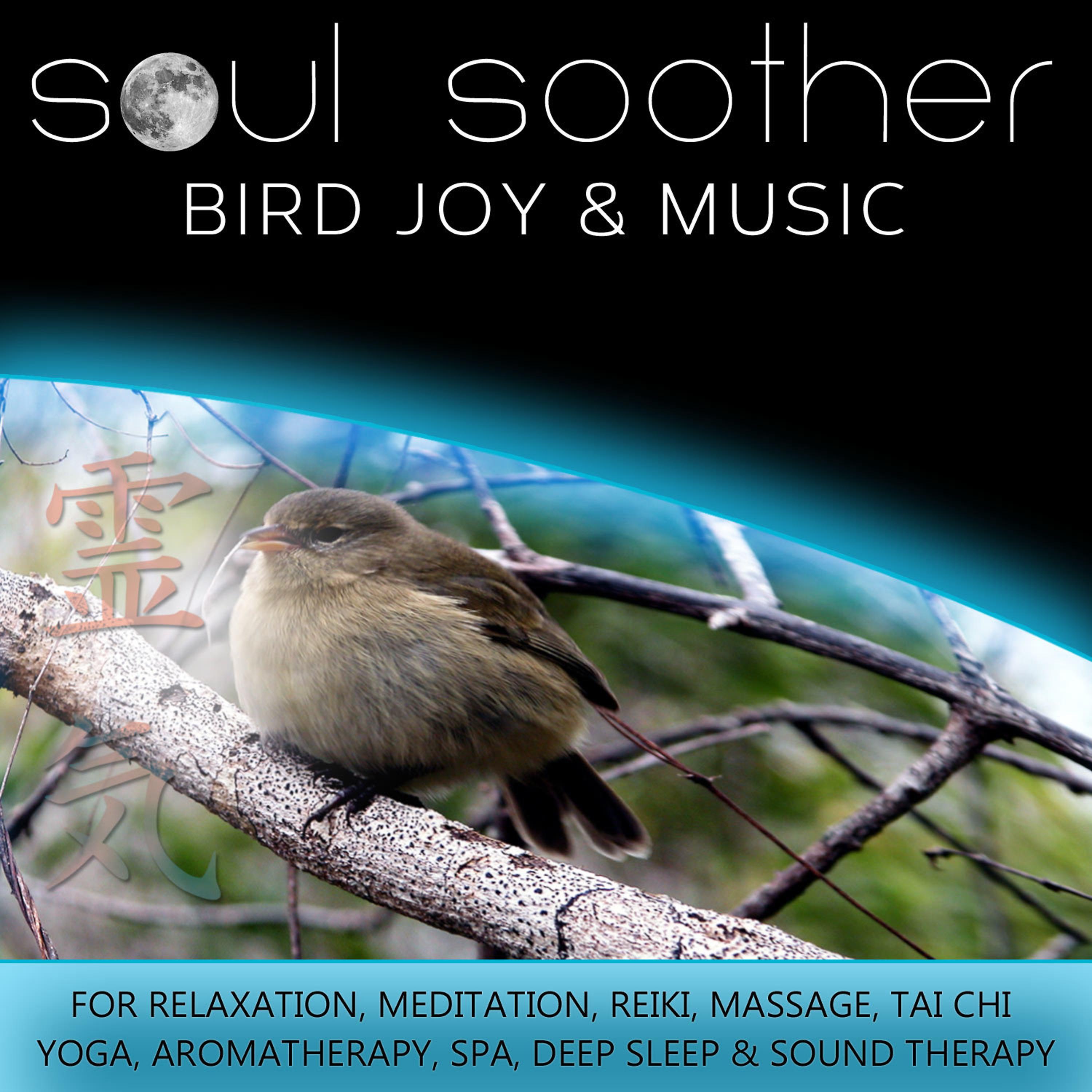 Постер альбома Bird Joy and Music for Relaxation, Meditation, Reiki, Massage, Tai Chi, Yoga, Aromatherapy, Spa, Deep Sleep and Sound Therapy