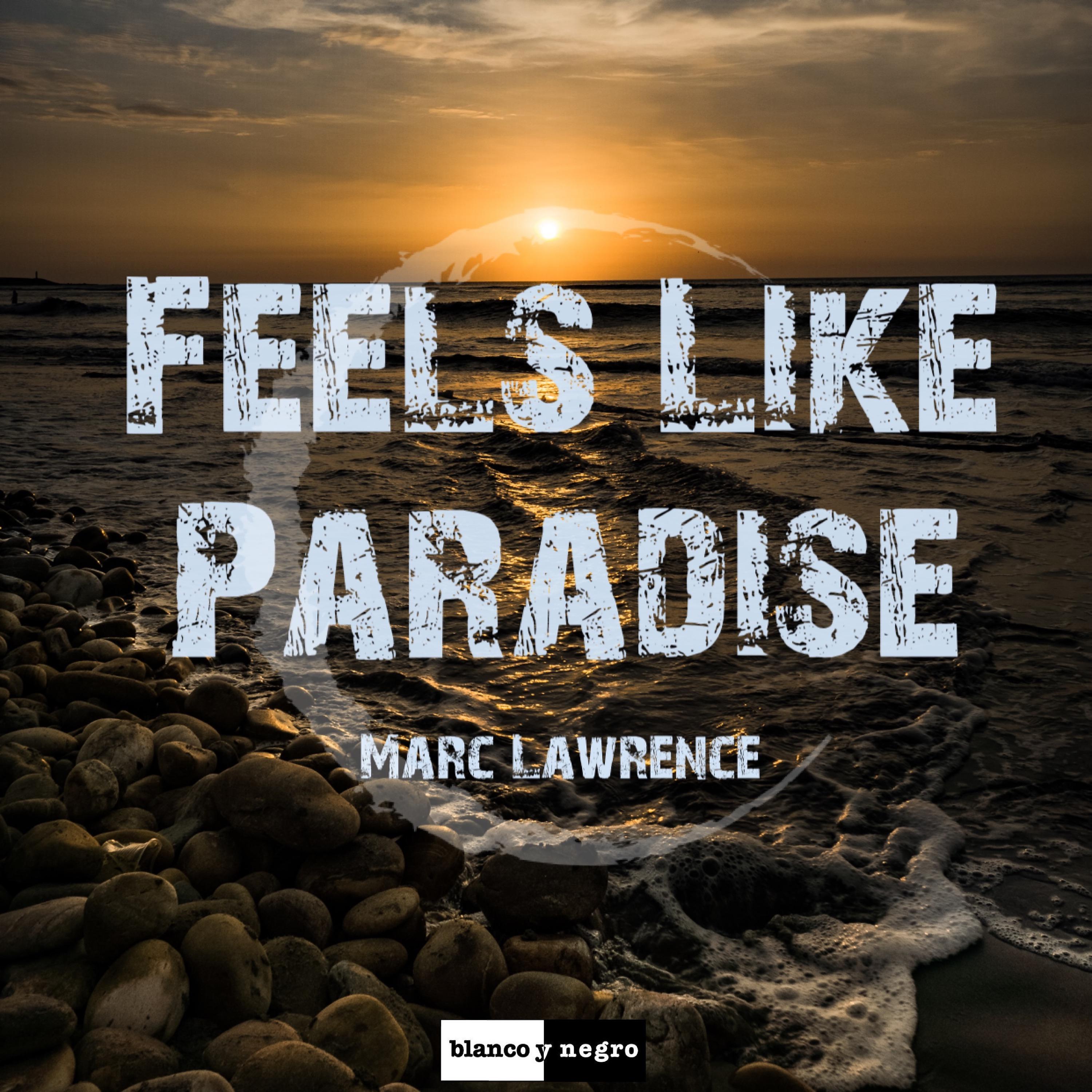 Постер альбома Feels Like Paradise