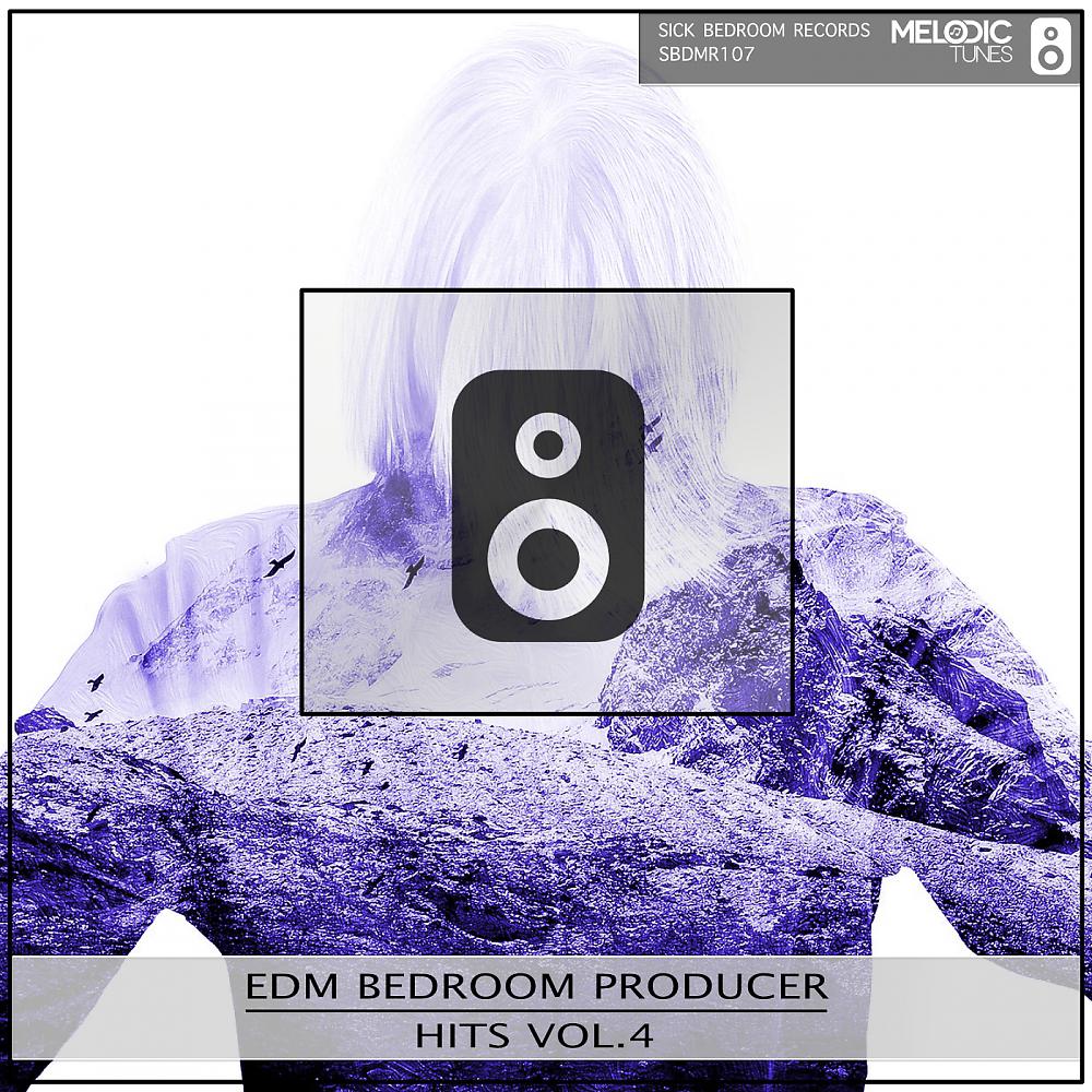 Постер альбома Edm Bedroom Producer Hits, Vol. 4