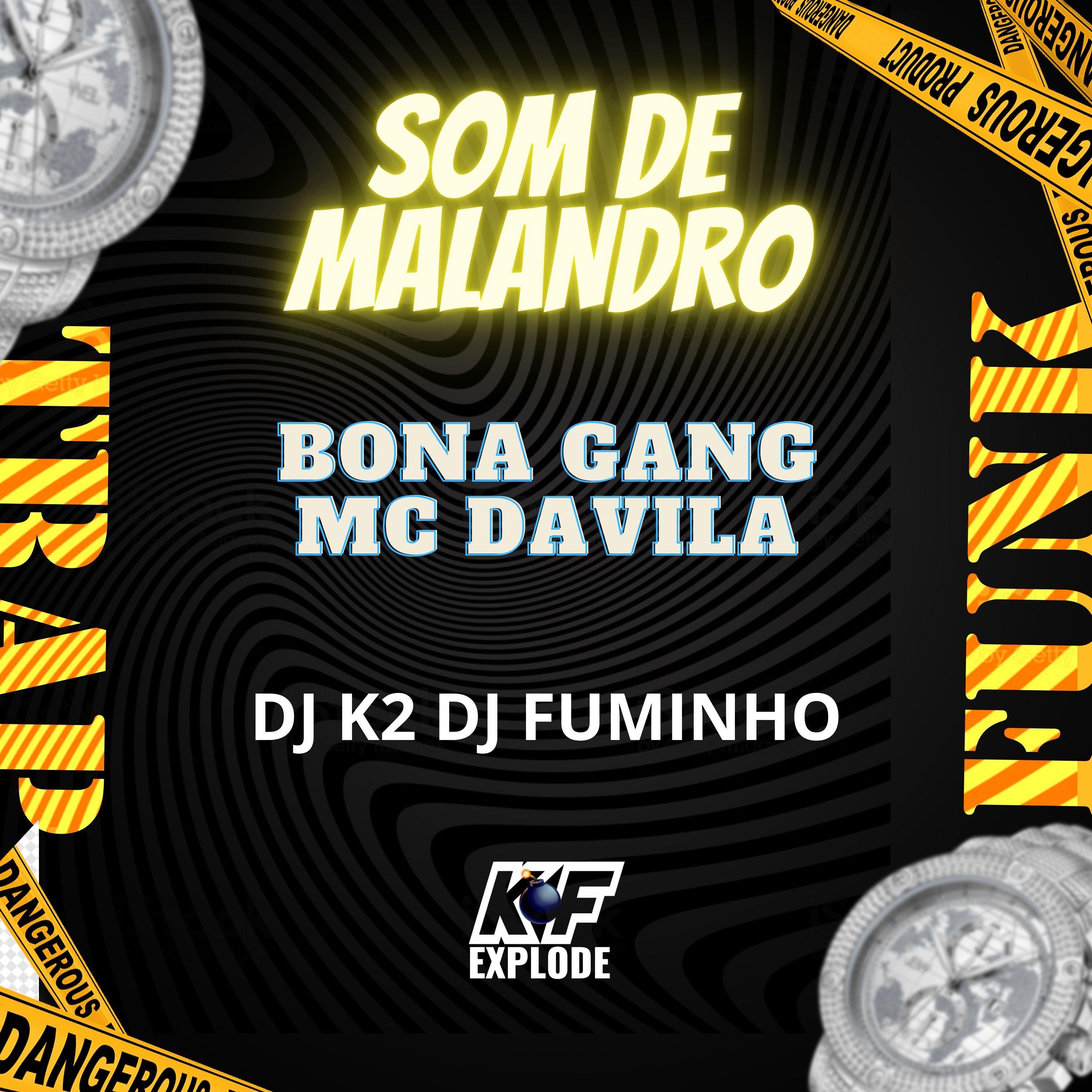 Постер альбома Som de Malandro