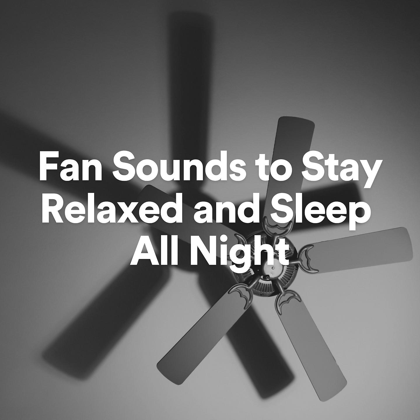 Постер альбома Fan Sounds to Stay Relaxed and Sleep All Night