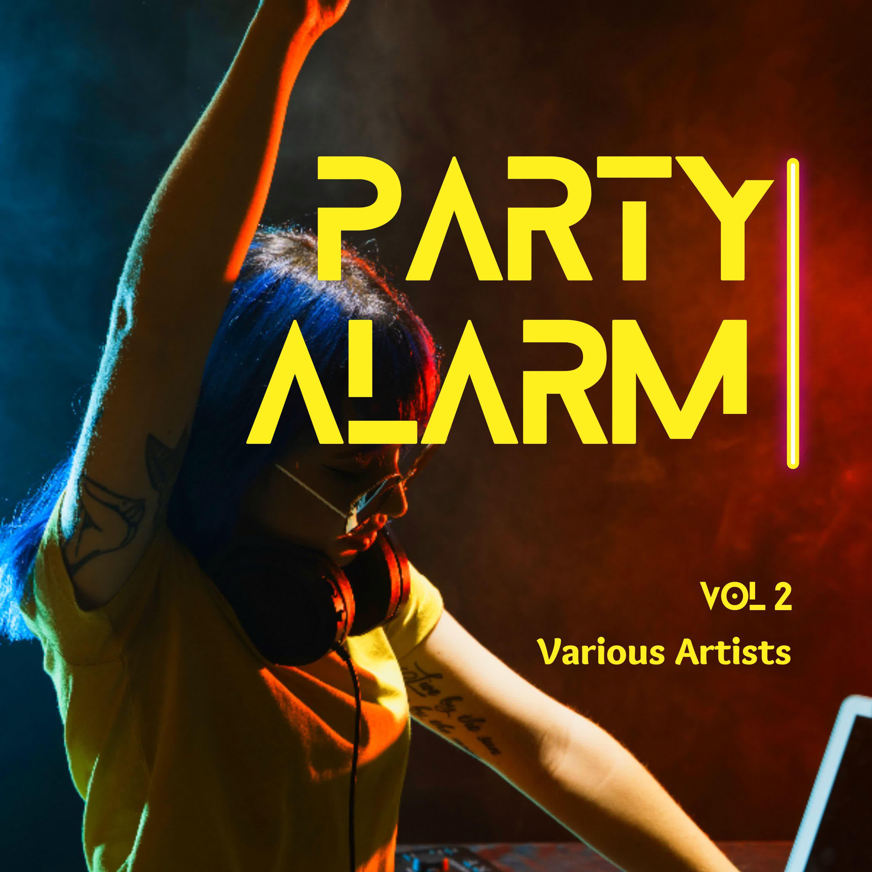 Постер альбома Party Alarm, Vol. 2