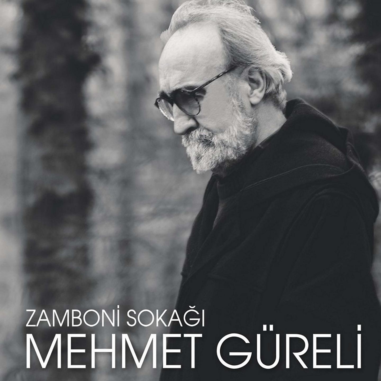 Постер альбома Zamboni Sokağı