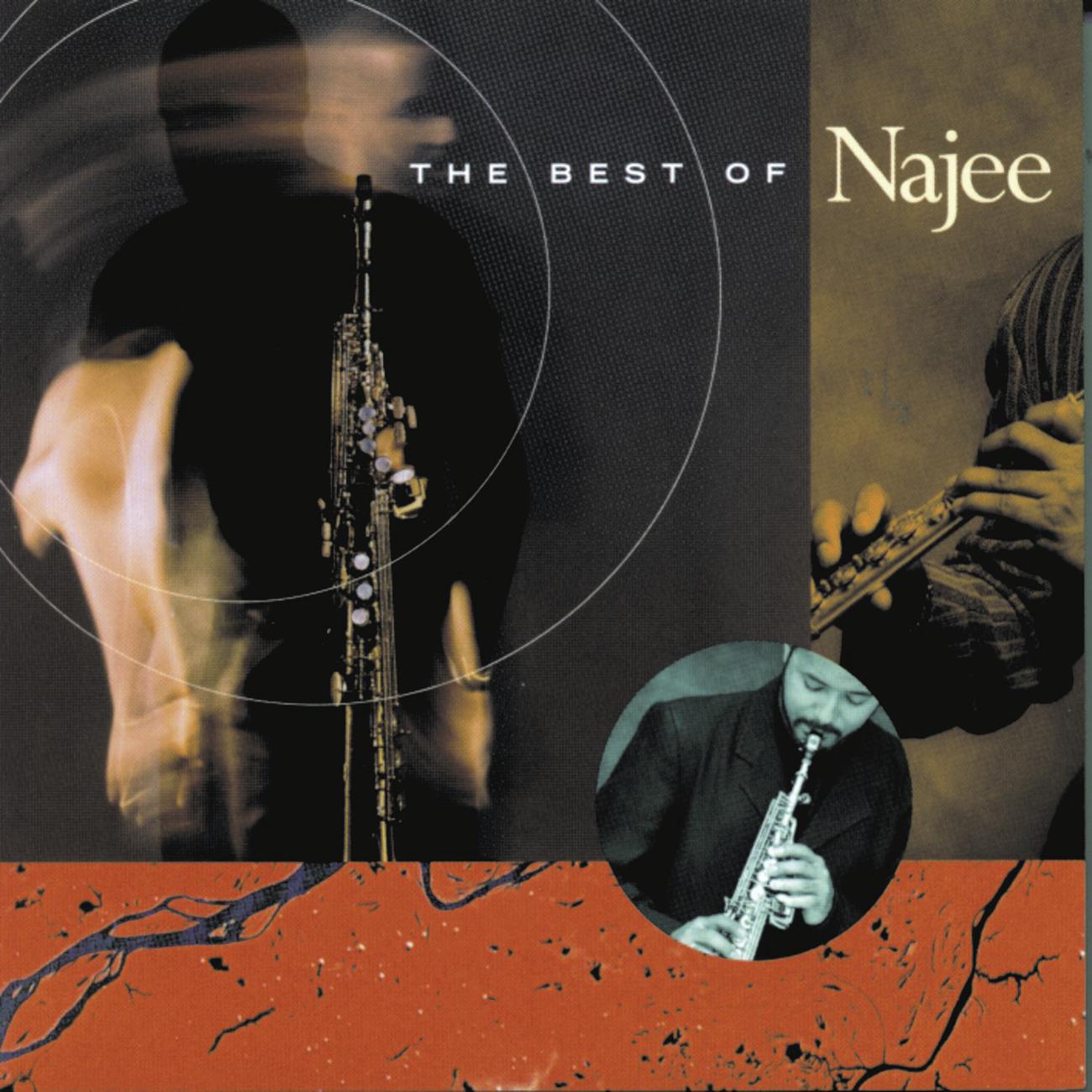 Постер альбома The Best Of Najee