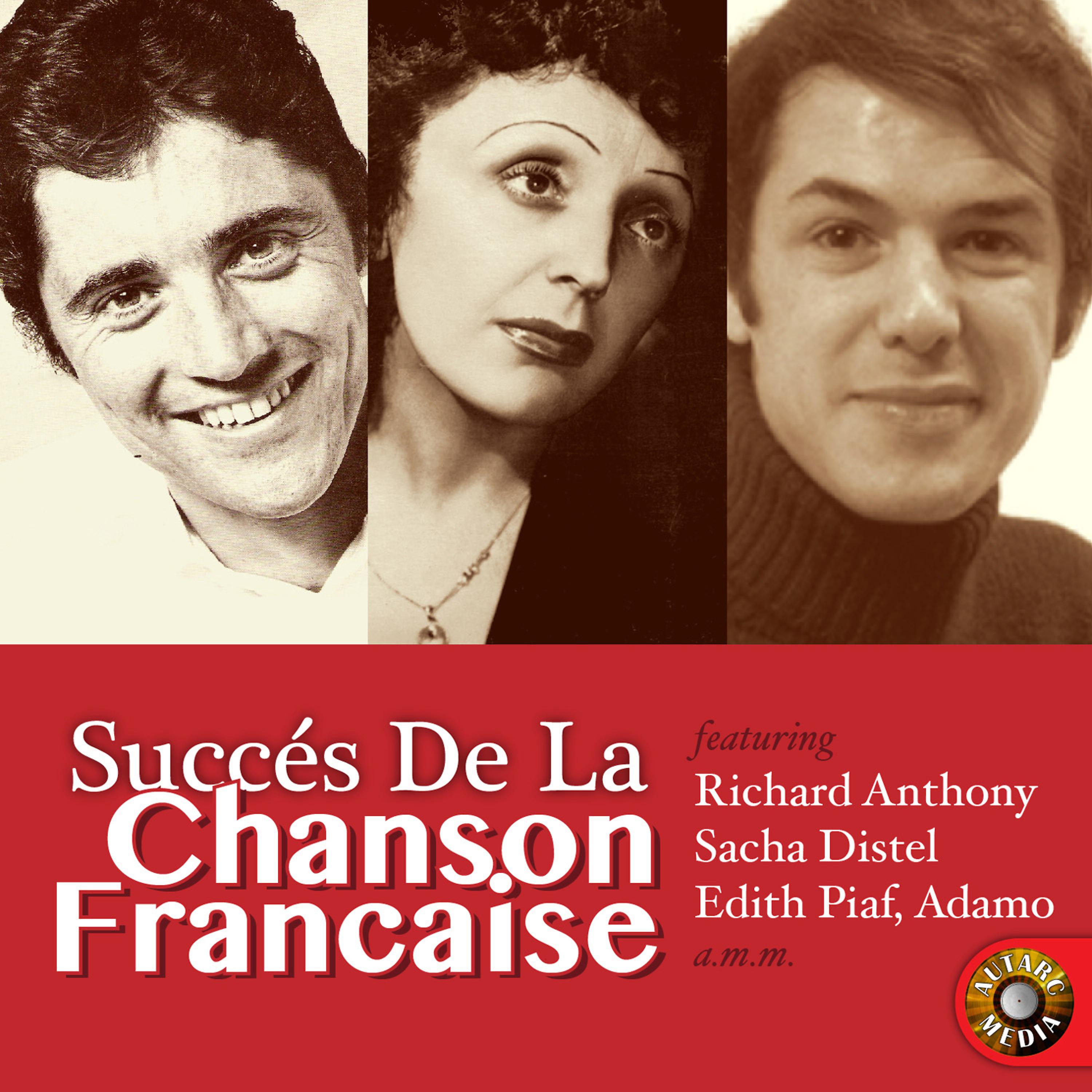 Постер альбома Succès De La Chanson Francaise