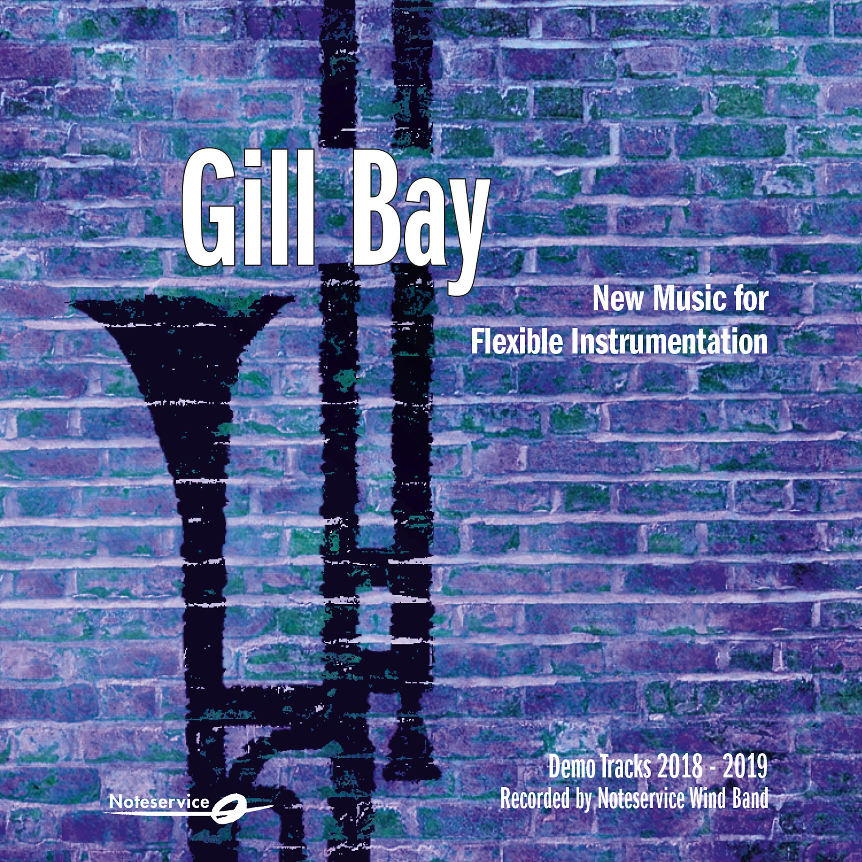 Постер альбома Gill Bay - New Music for Flexible Instrumentation - Demo Tracks 2018-2019