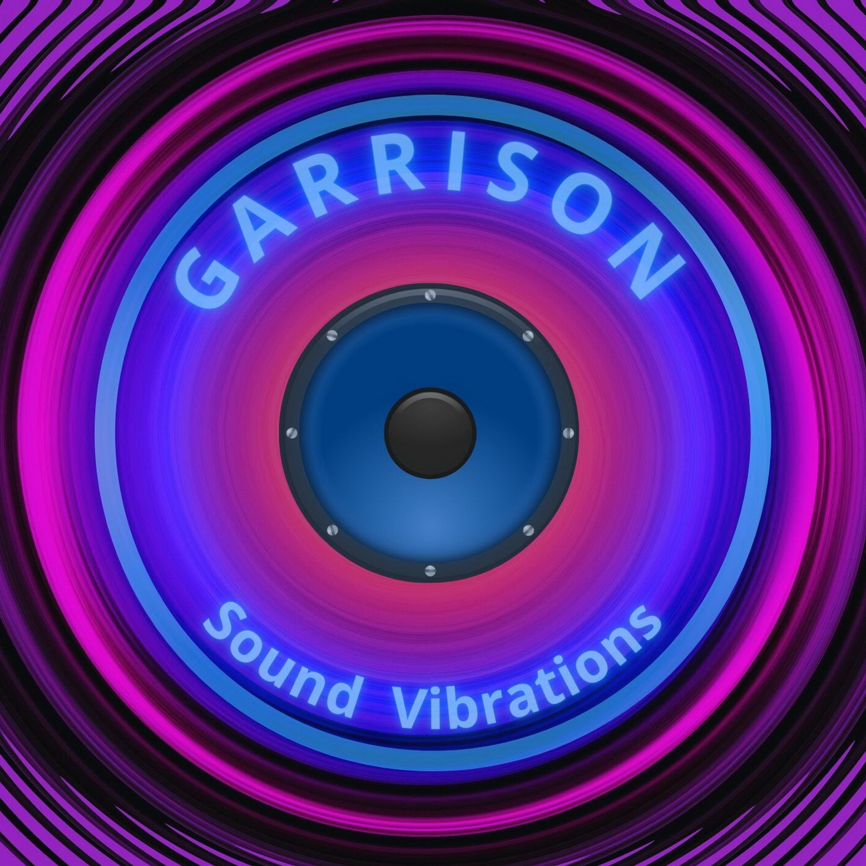 Постер альбома Sound Vibrations
