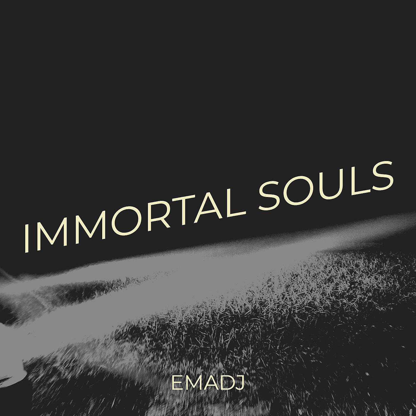 Постер альбома Immortal Souls