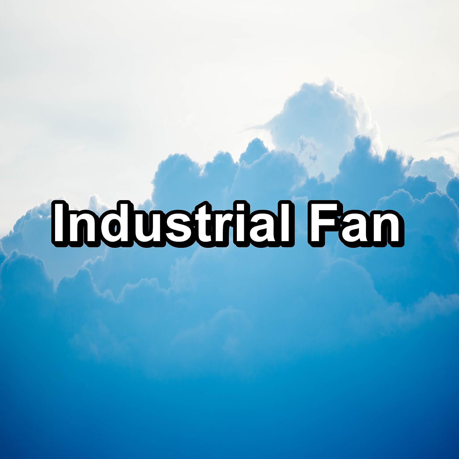 Постер альбома Industrial Fan