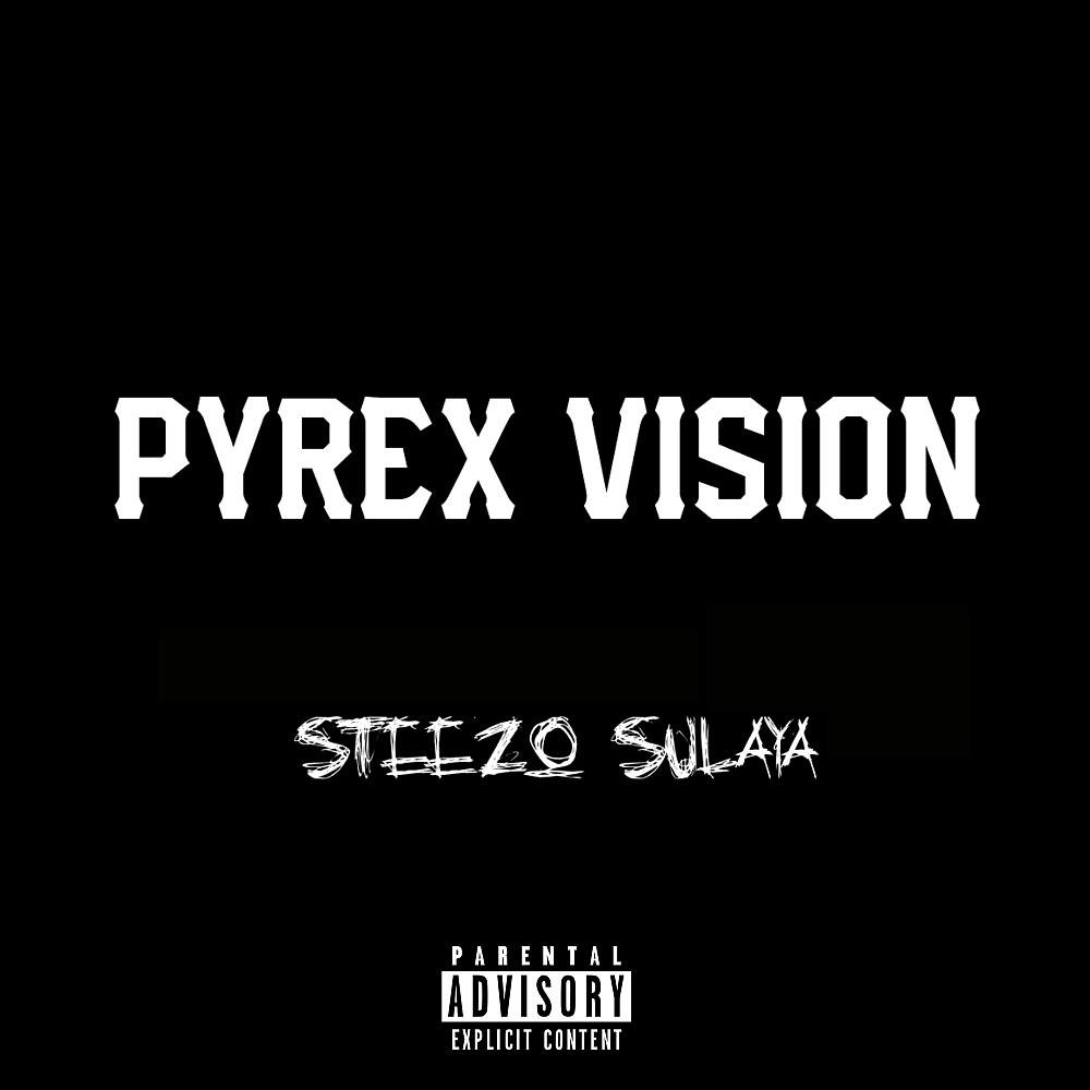 Постер альбома Pyrex Vision