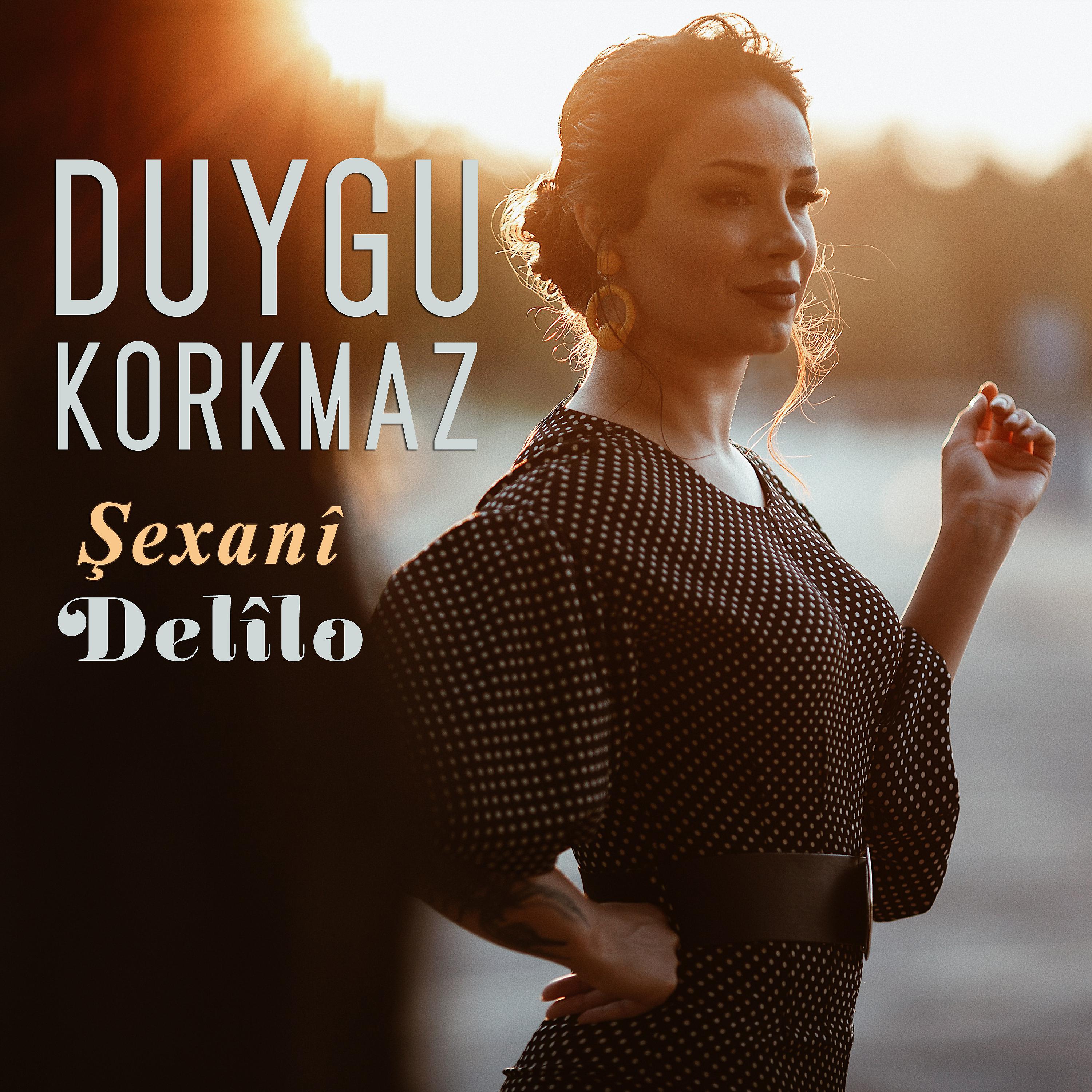 Постер альбома Şexanî/Delîlo