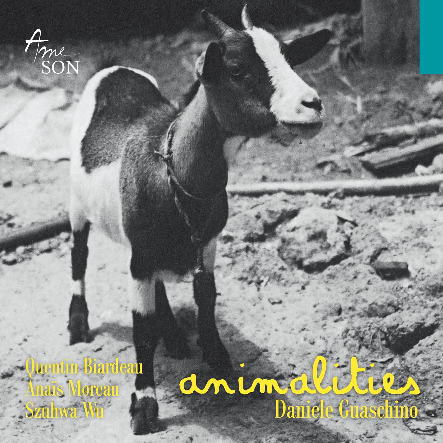 Постер альбома Daniele Guaschino : Animalities