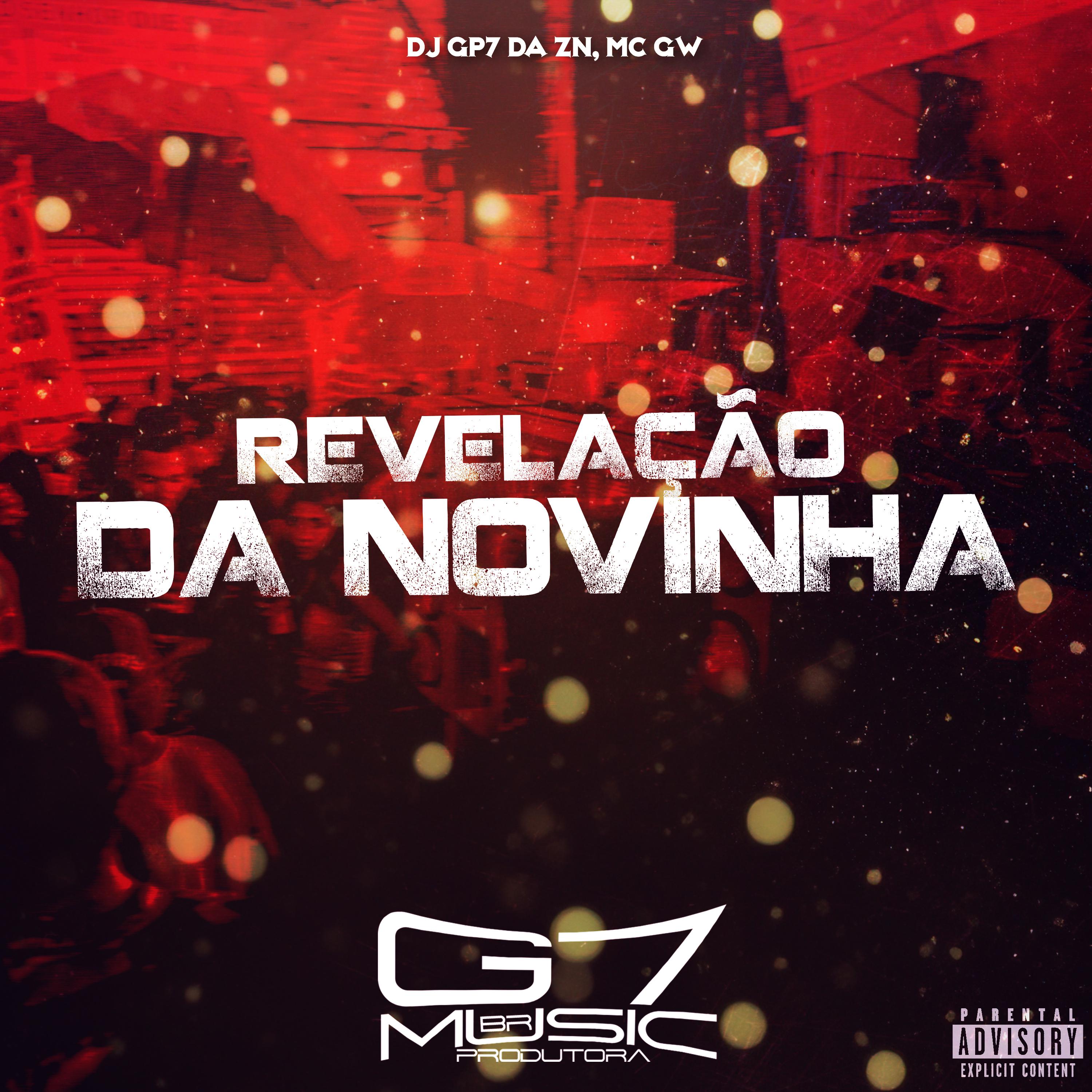 Постер альбома Revelação da Novinha