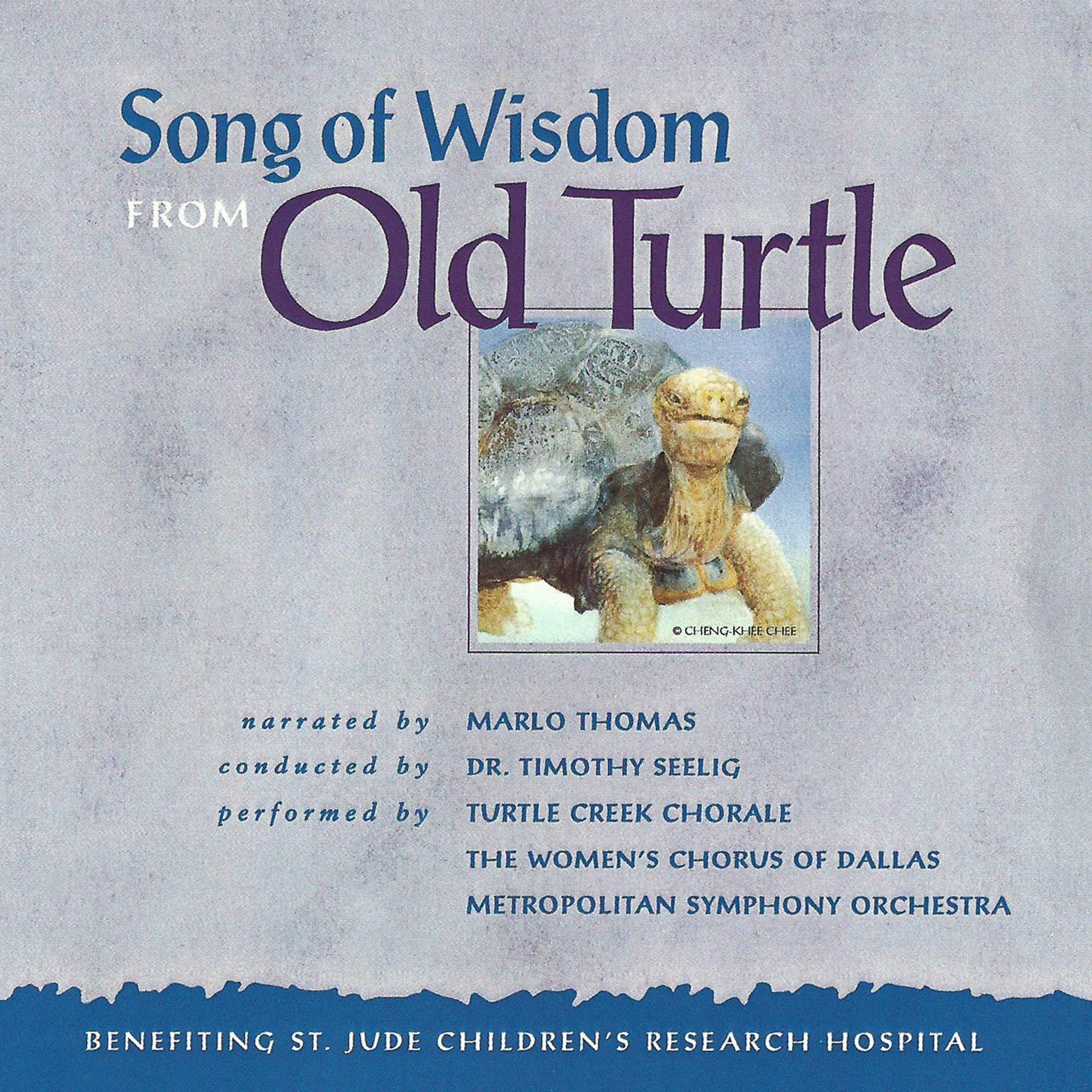 Постер альбома Song of Wisdom from Old Turtle