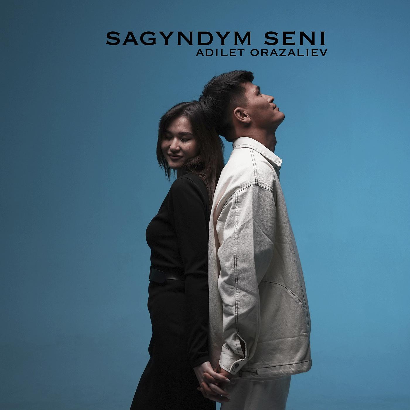 Постер альбома Sagyndym Seni
