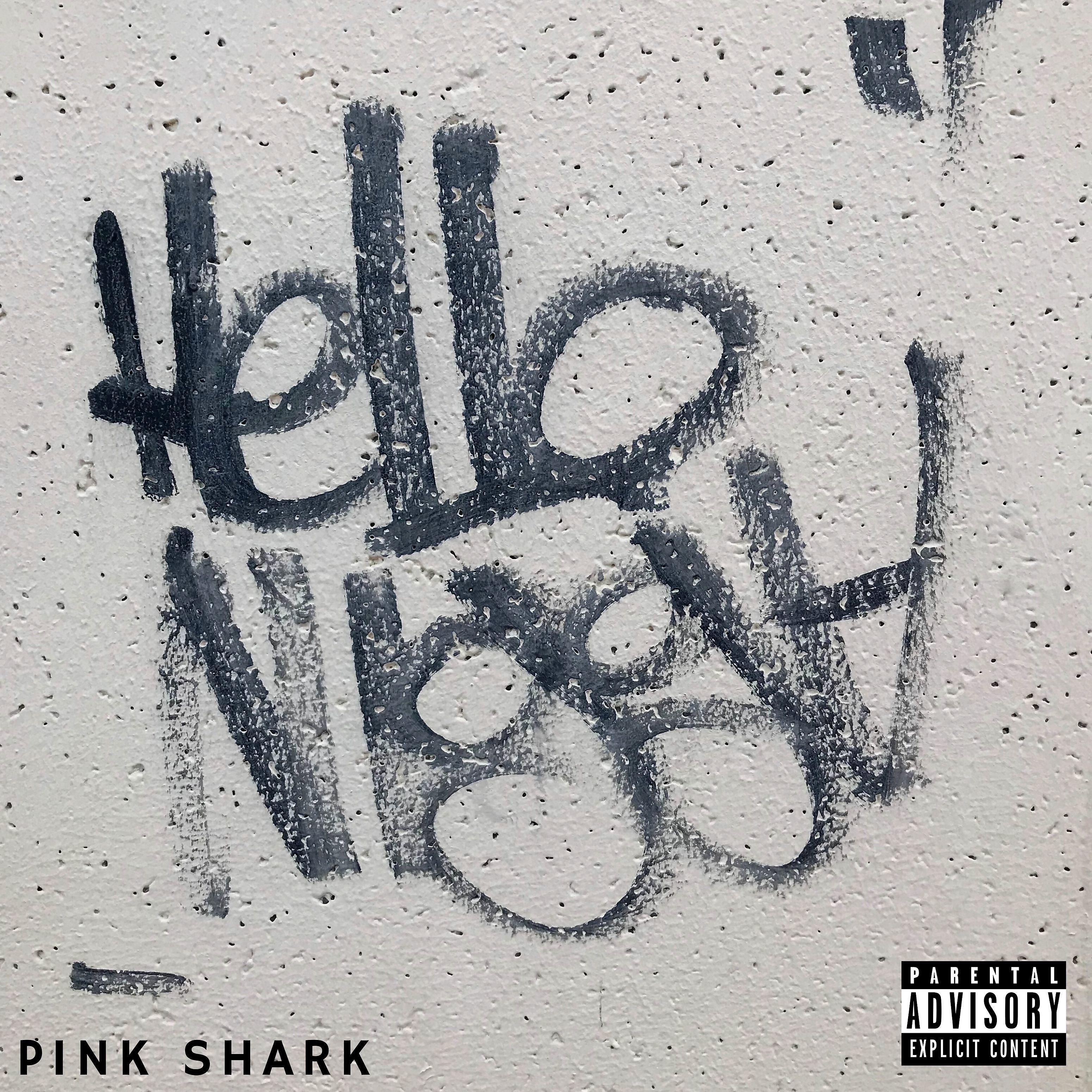 Постер альбома Hello Nigga