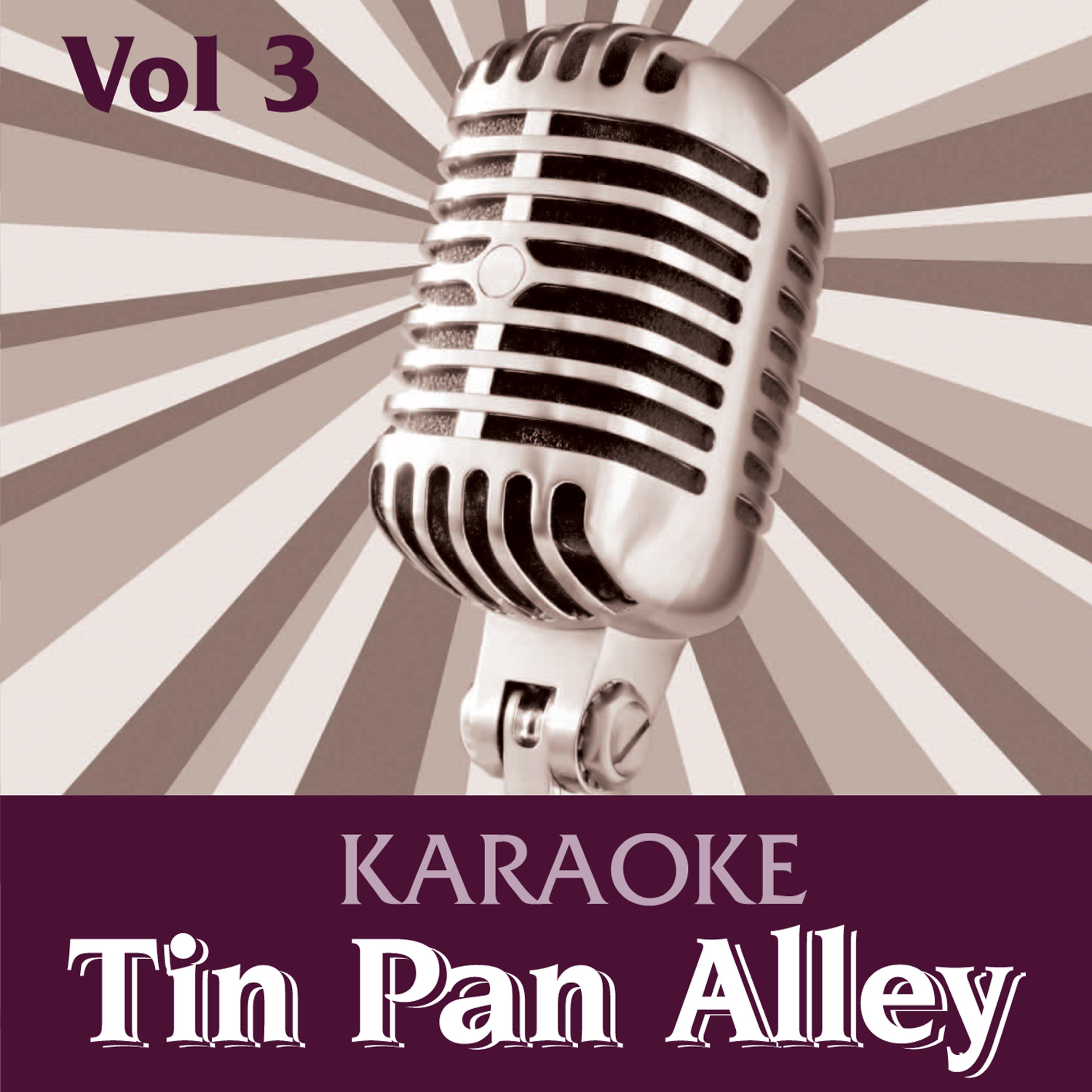 Постер альбома Karaoke -  Tin Pan Alley Vol.3