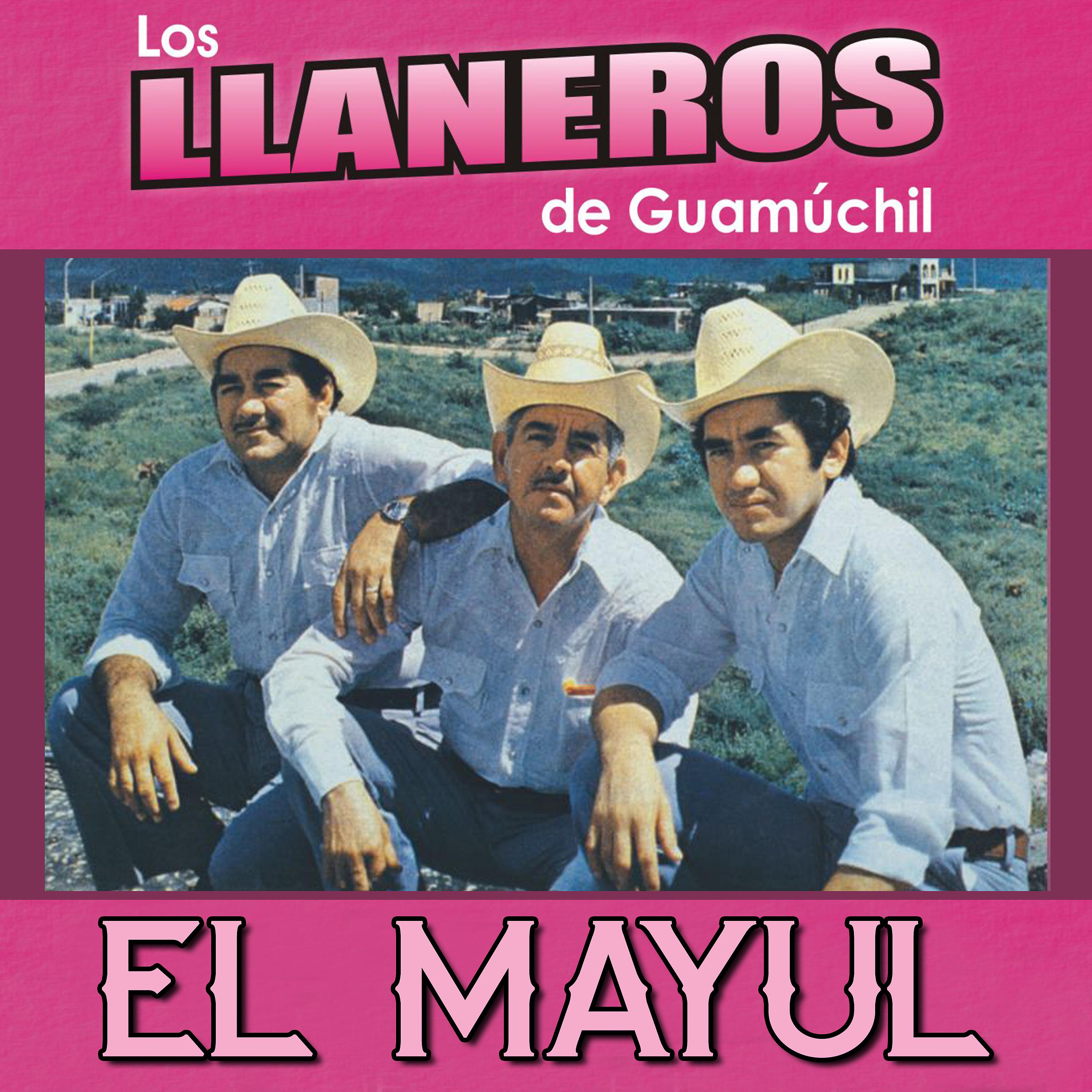 Постер альбома El Mayul