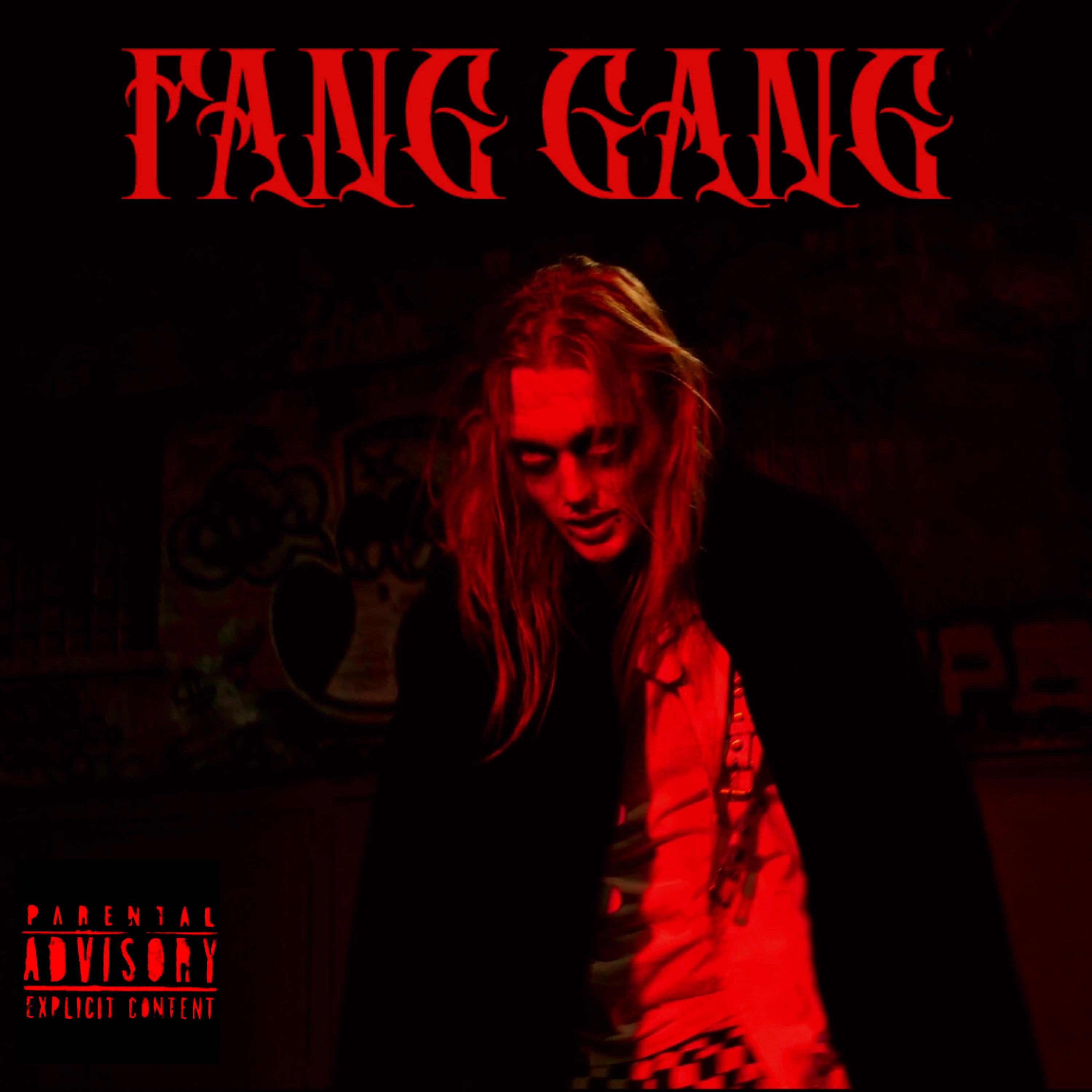 Постер альбома Fang Gang