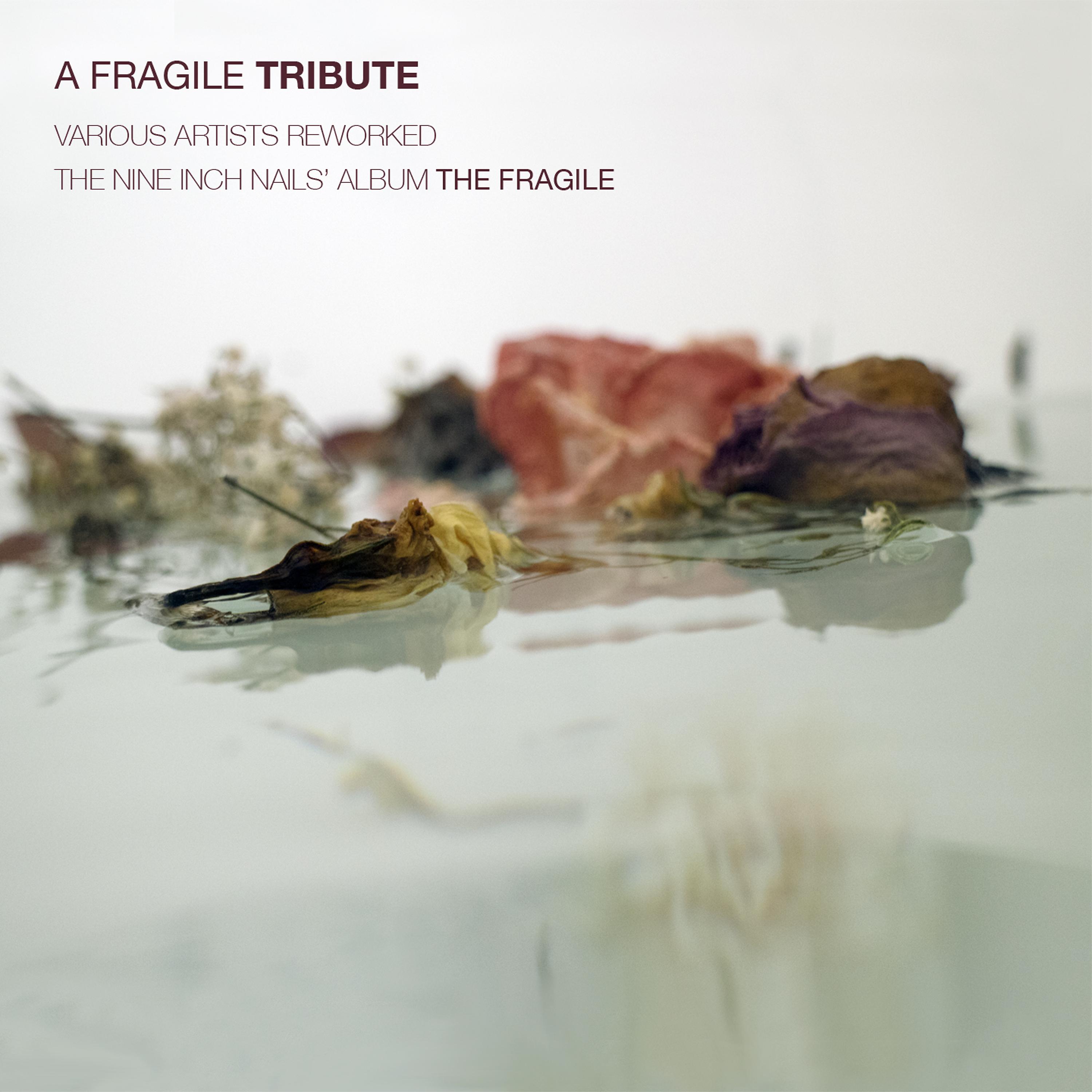Постер альбома A Fragile Tribute: Various Artists Reworked the Nine Inch Nails' album "The Fragile"