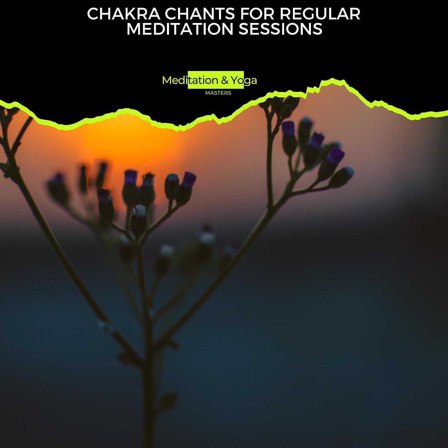 Постер альбома Chakra Chants for Regular Meditation Sessions
