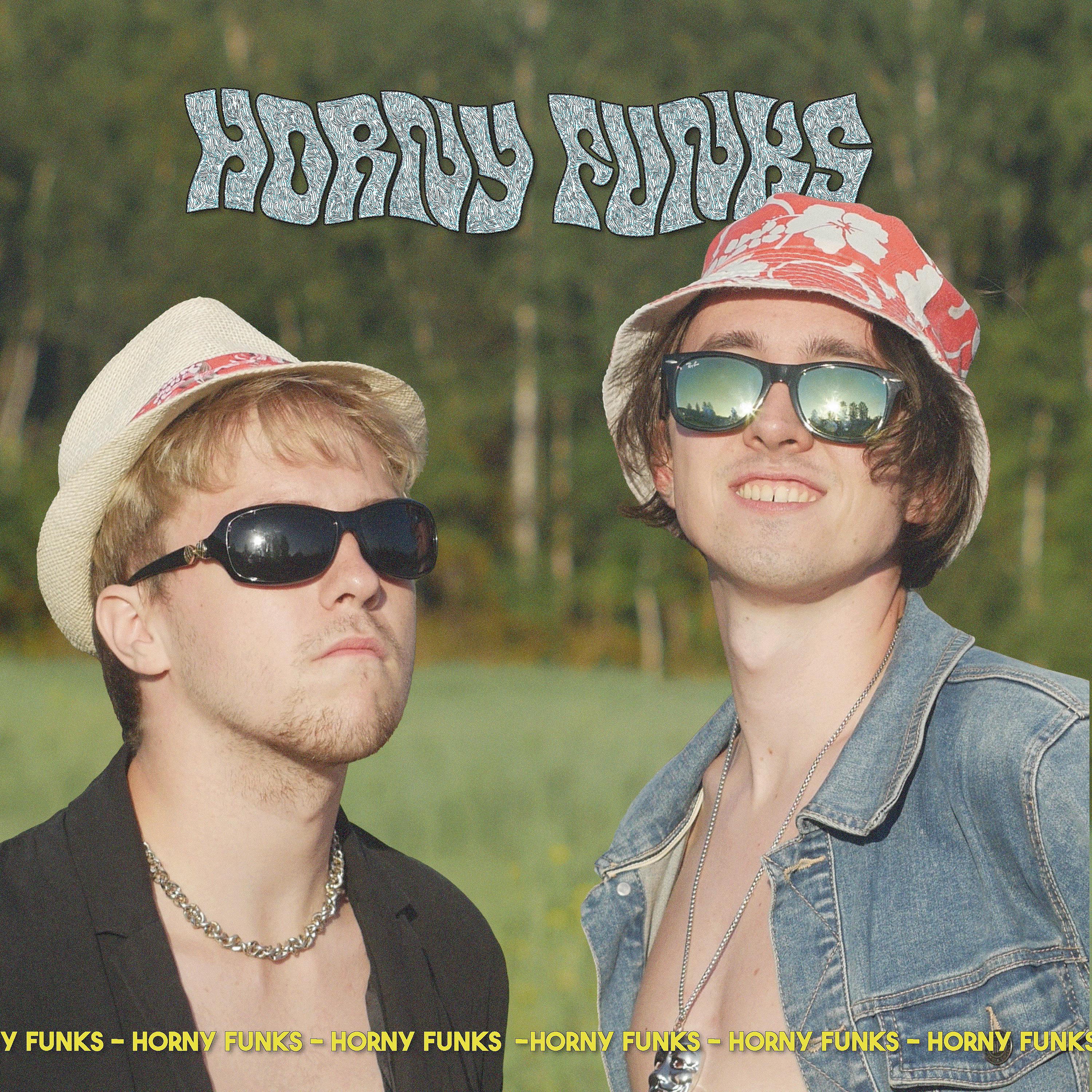 Постер альбома Horny Funks