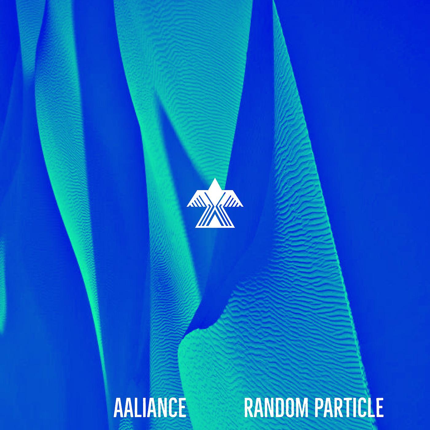 Постер альбома Random Particle