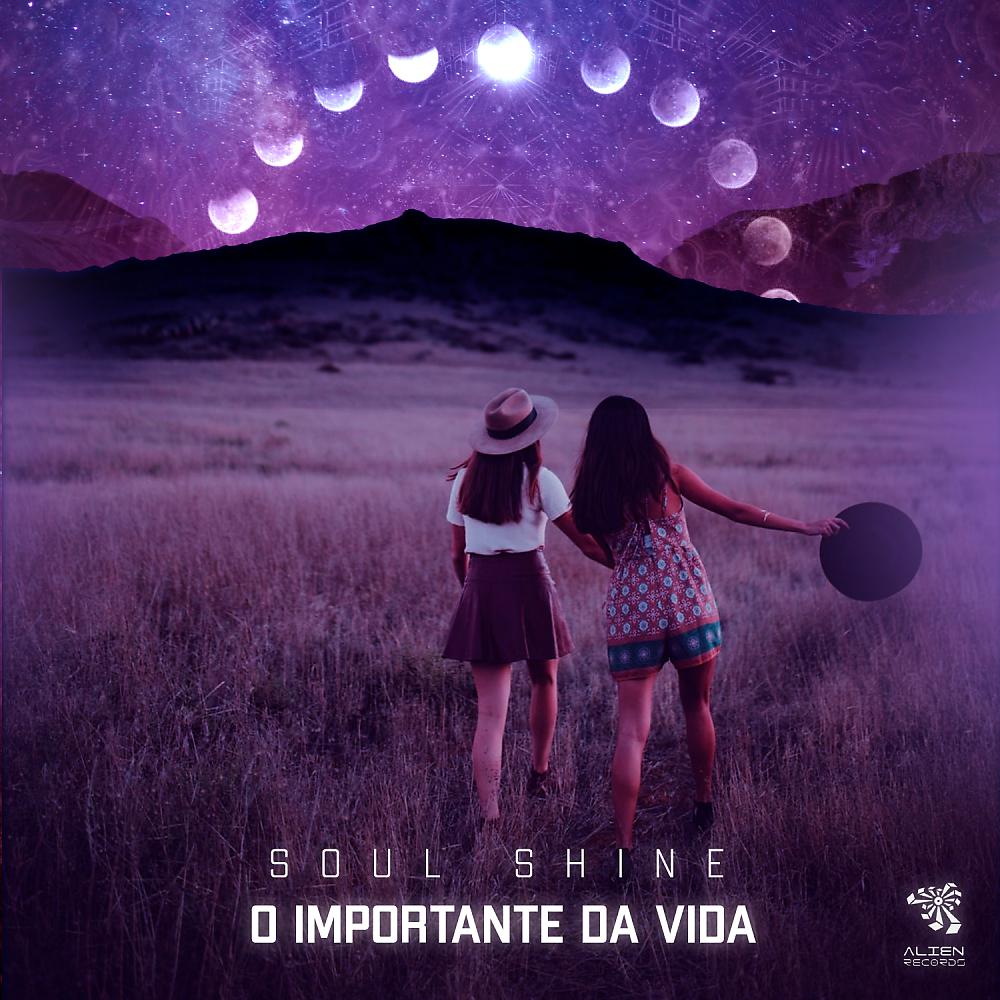 Постер альбома O Importante da vida