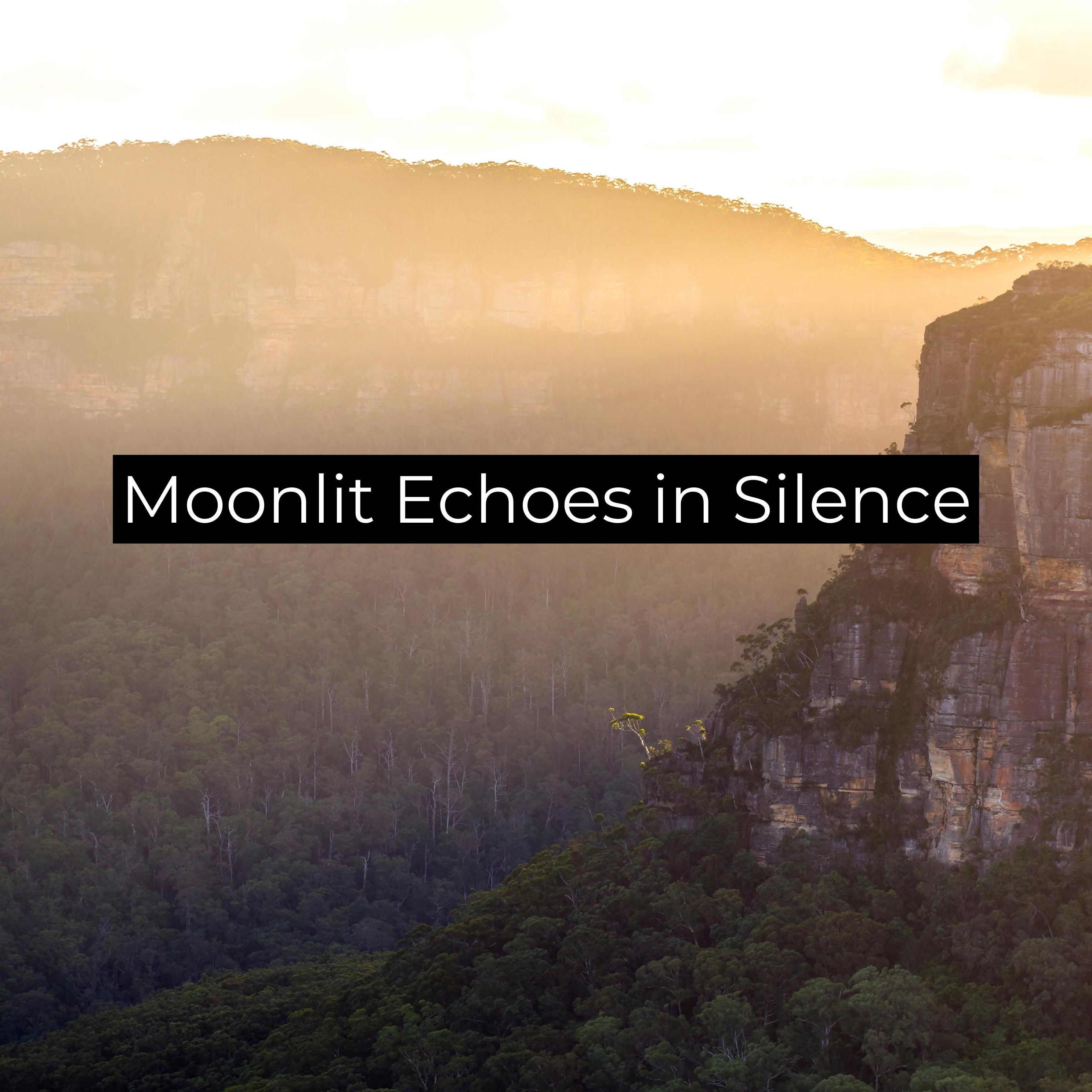 Постер альбома Moonlit Echoes in Silence