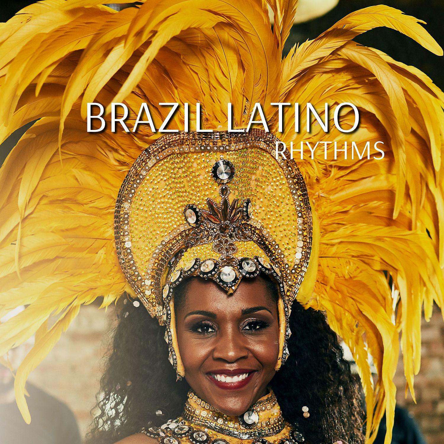Постер альбома Brazil Latino Rhythms