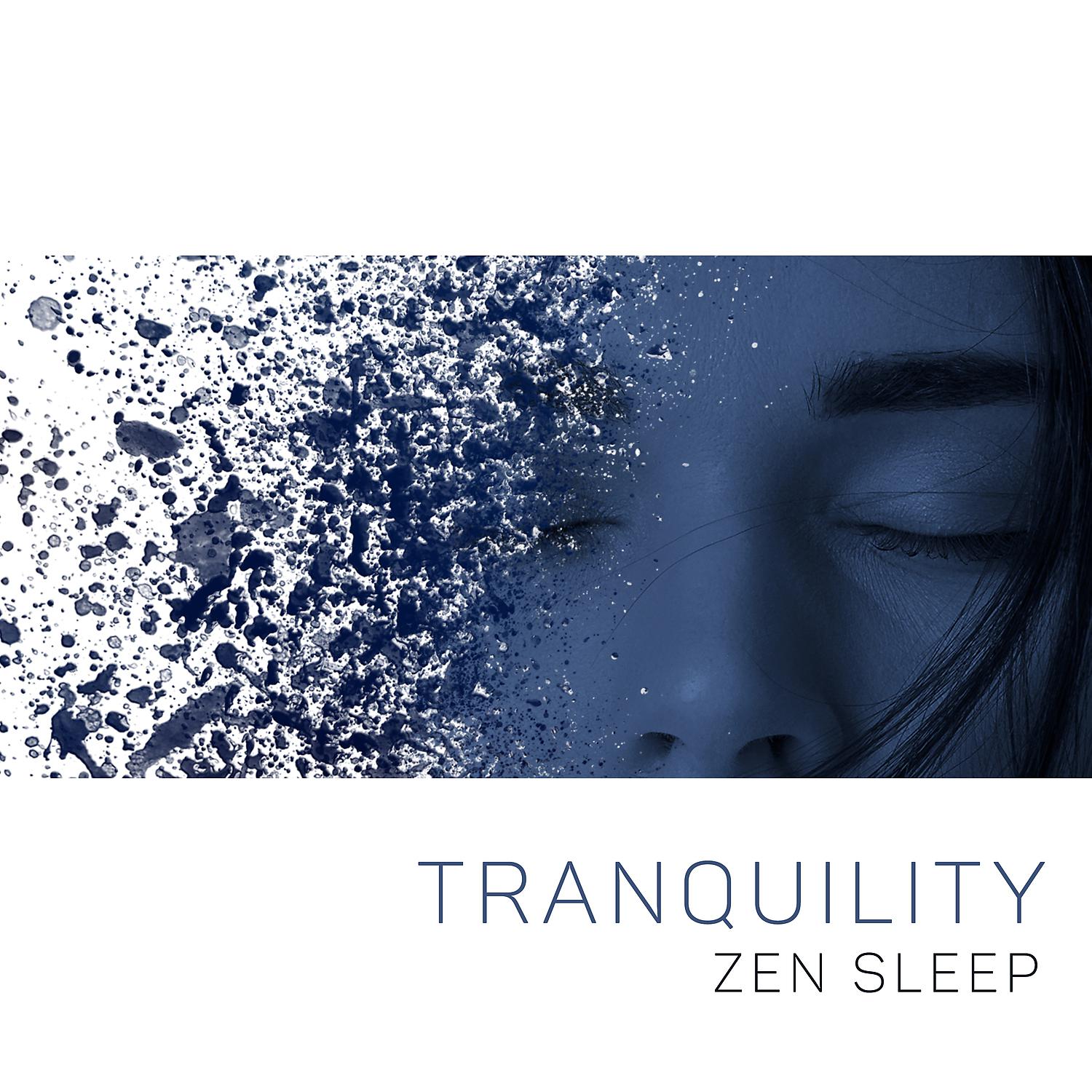 Постер альбома Tranquility Zen Sleep - Healing Sounds, Relaxing Soothing Tunes, Deep Sleep, Inner Balance & Harmony