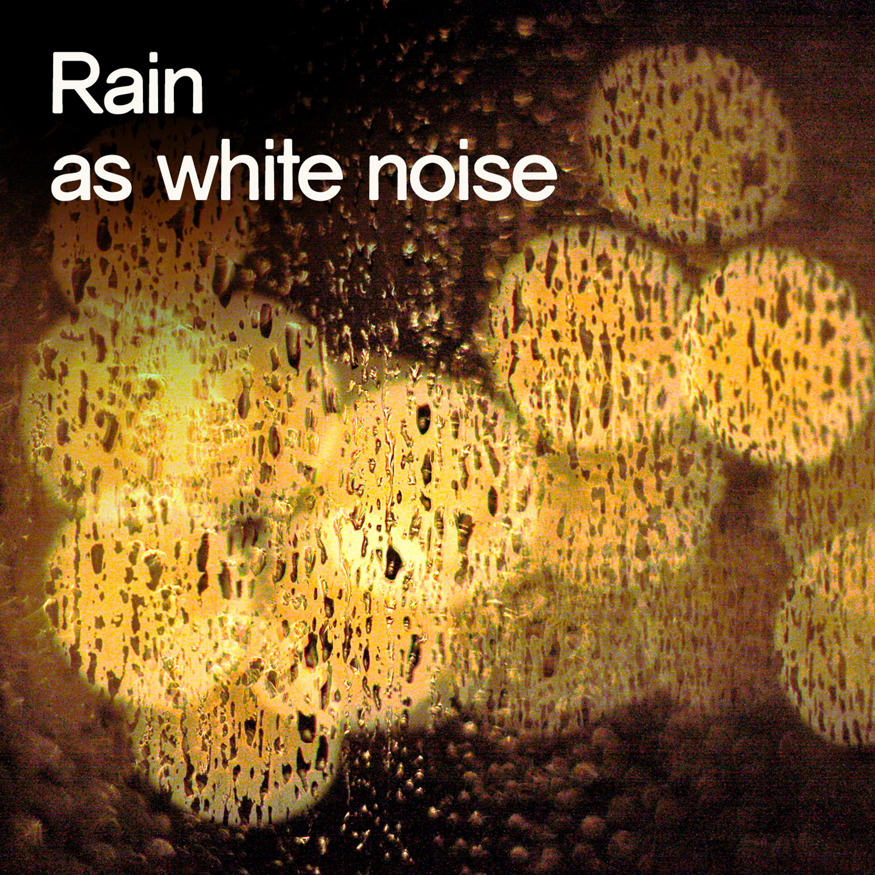 Постер альбома Rain as White Noise