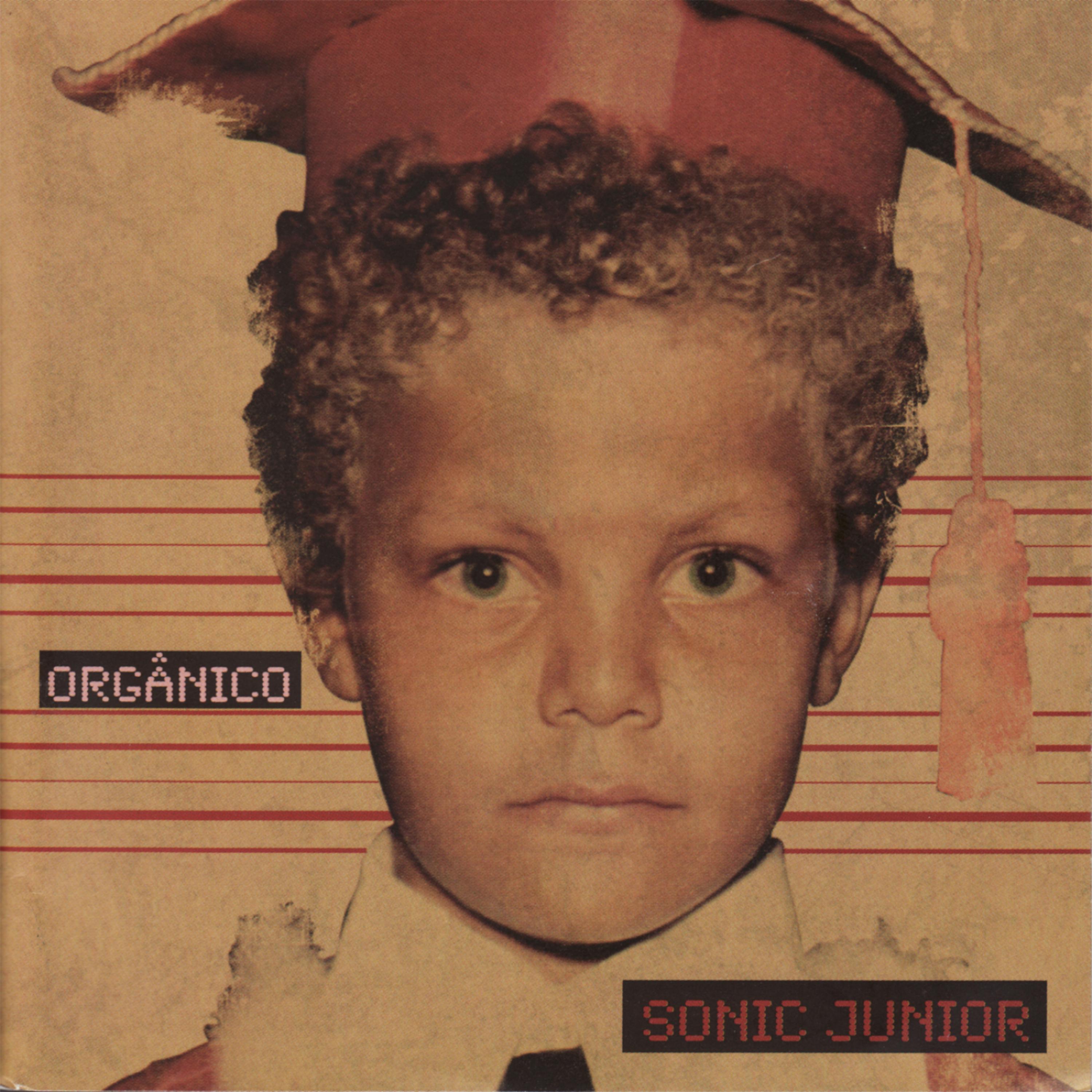 Постер альбома Orgânico