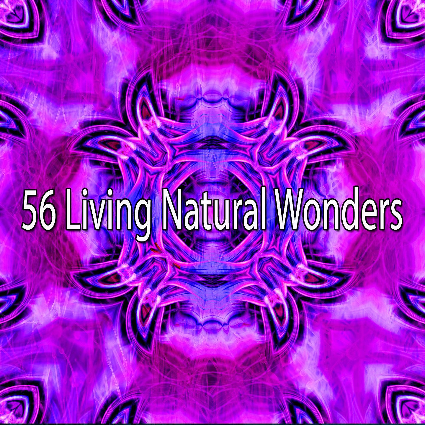 Постер альбома 56 Живых чудес природы