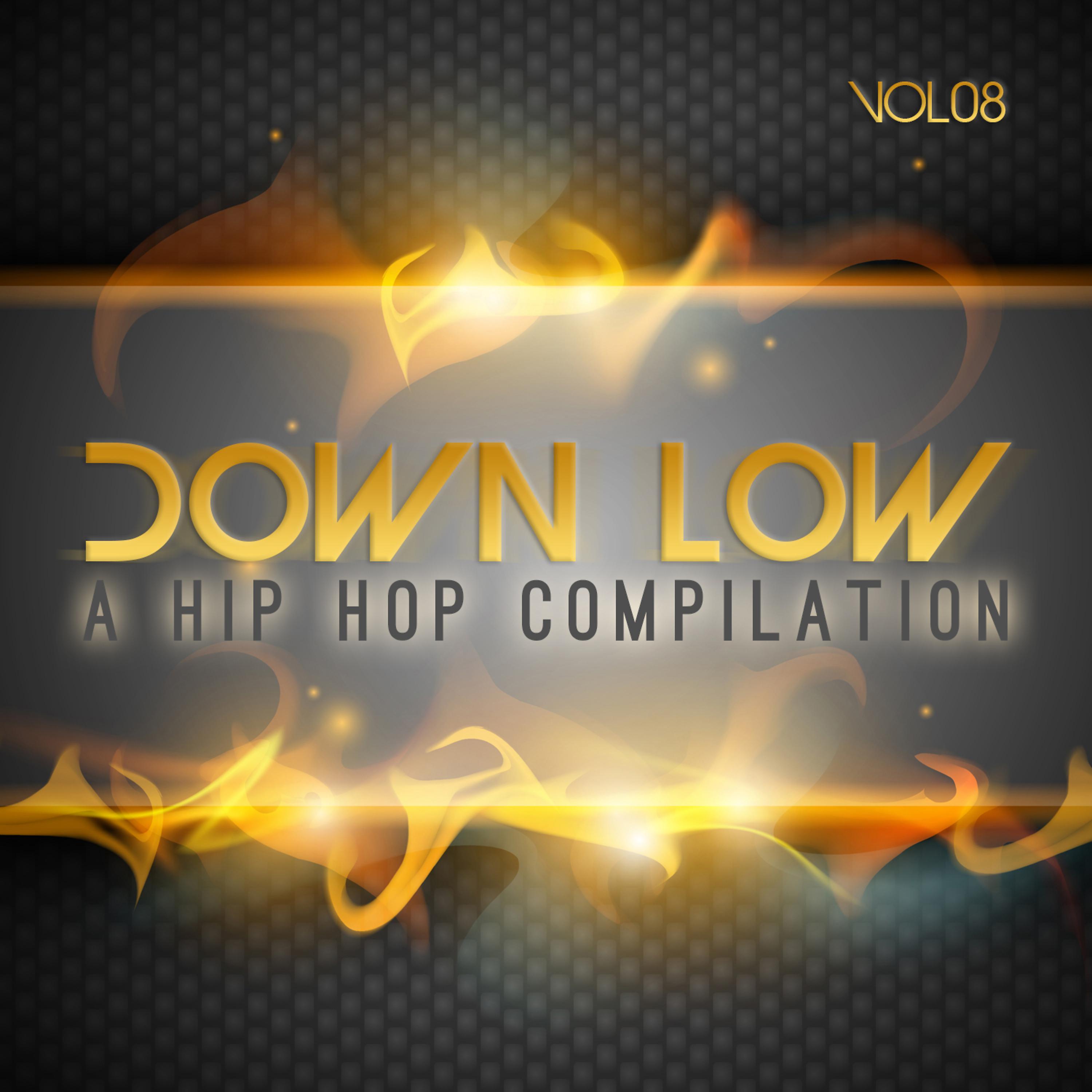 Постер альбома Down Low Hip Hop Compilation, Vol. 8