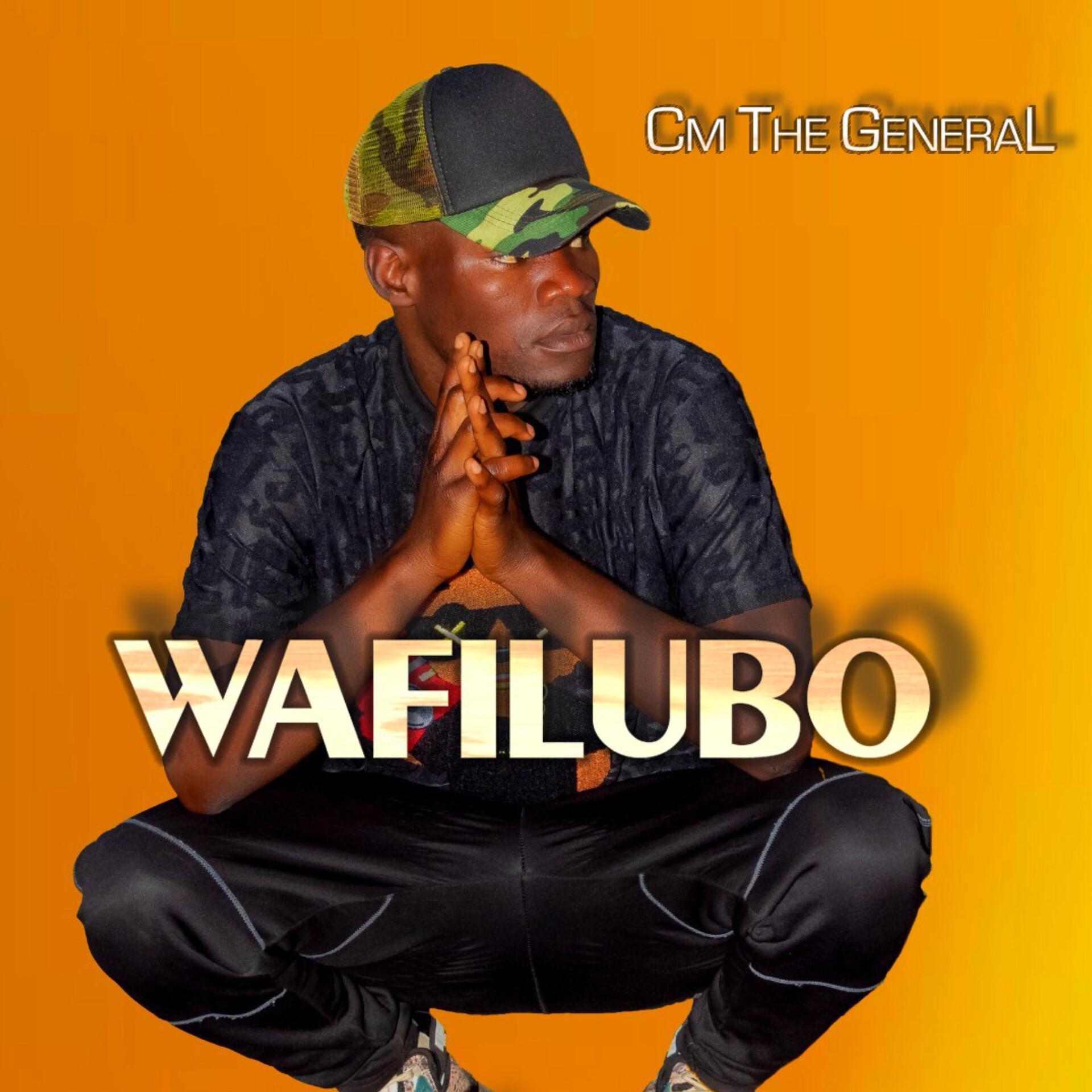 Постер альбома Wafilubo