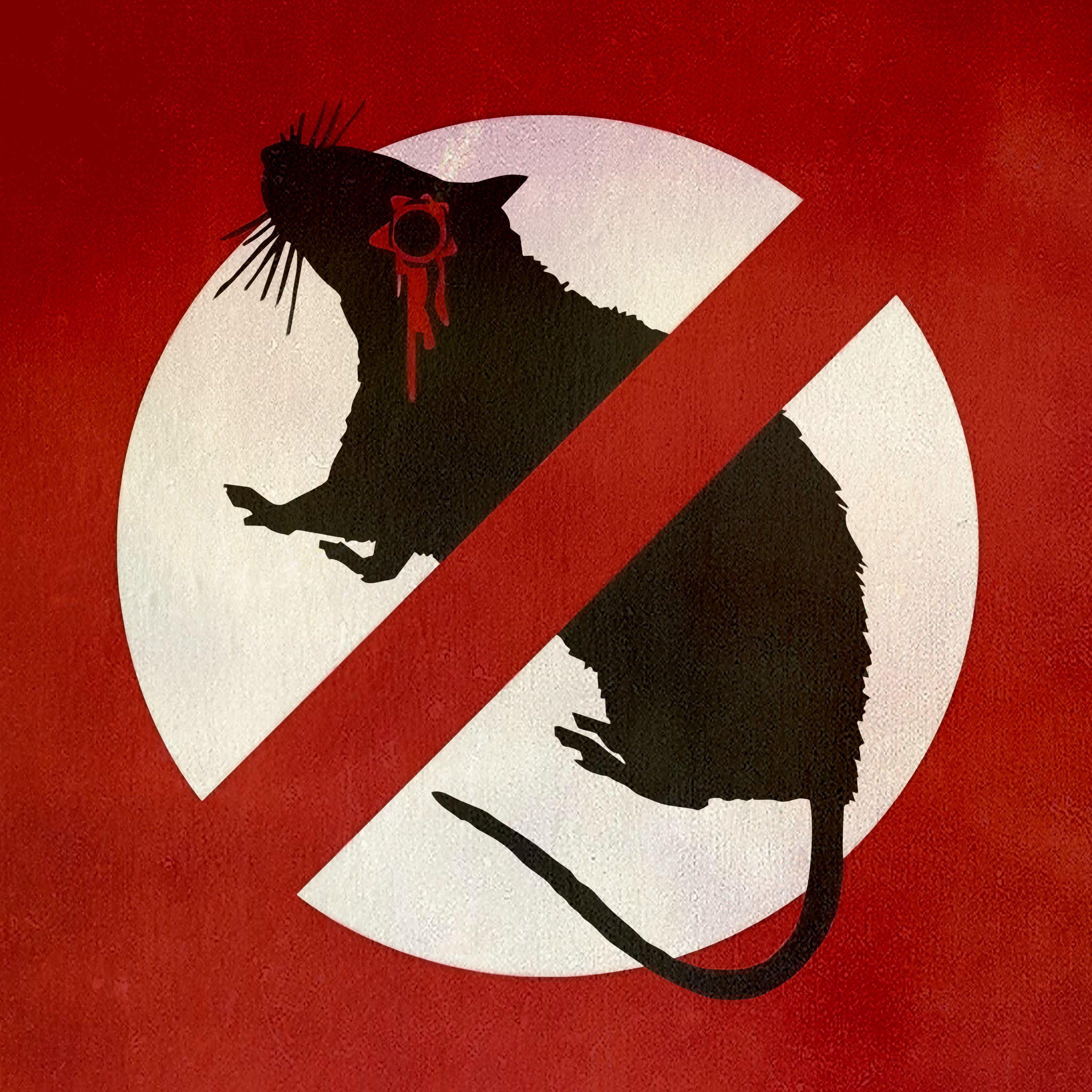 Постер альбома STOP RATS