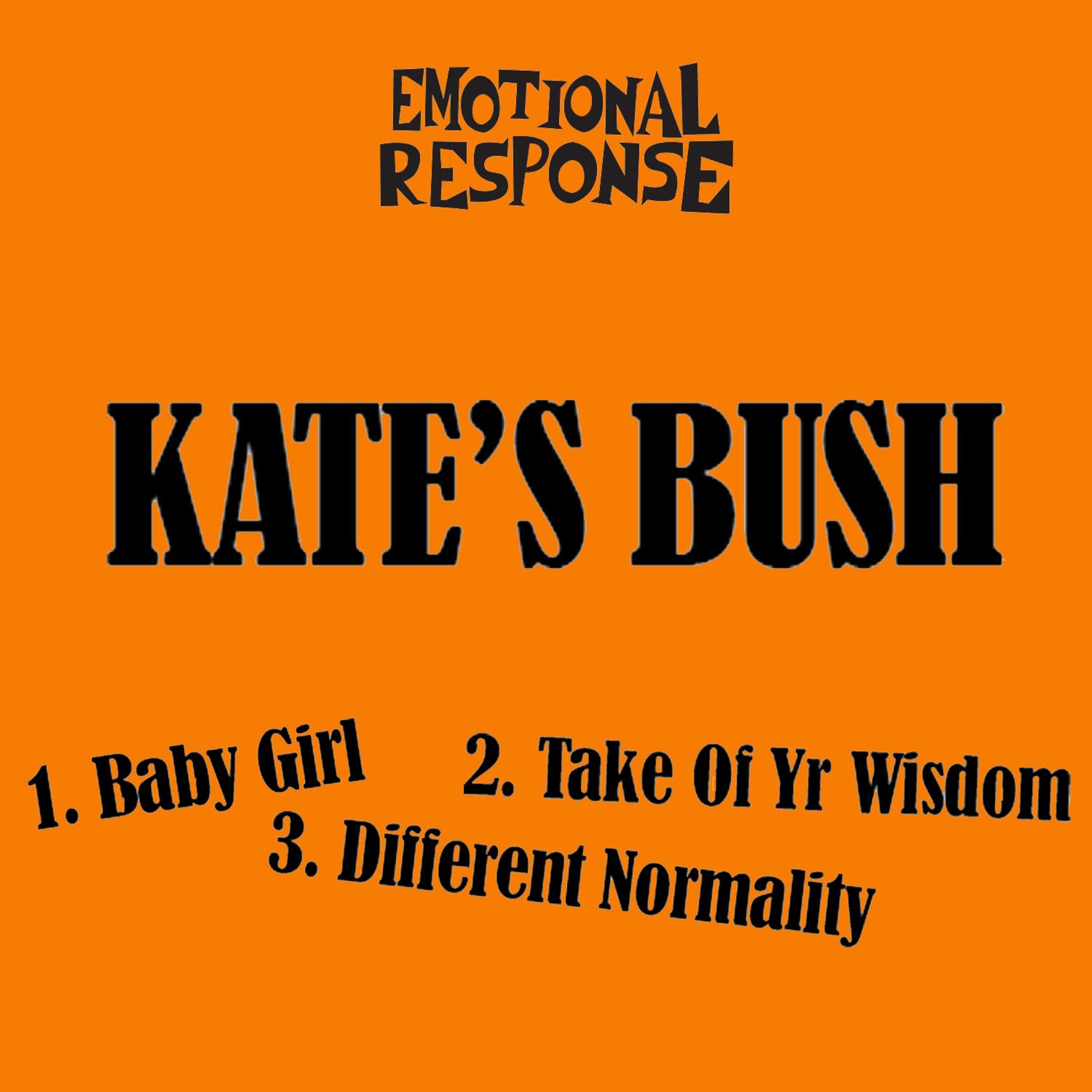 Постер альбома Kate's Bush