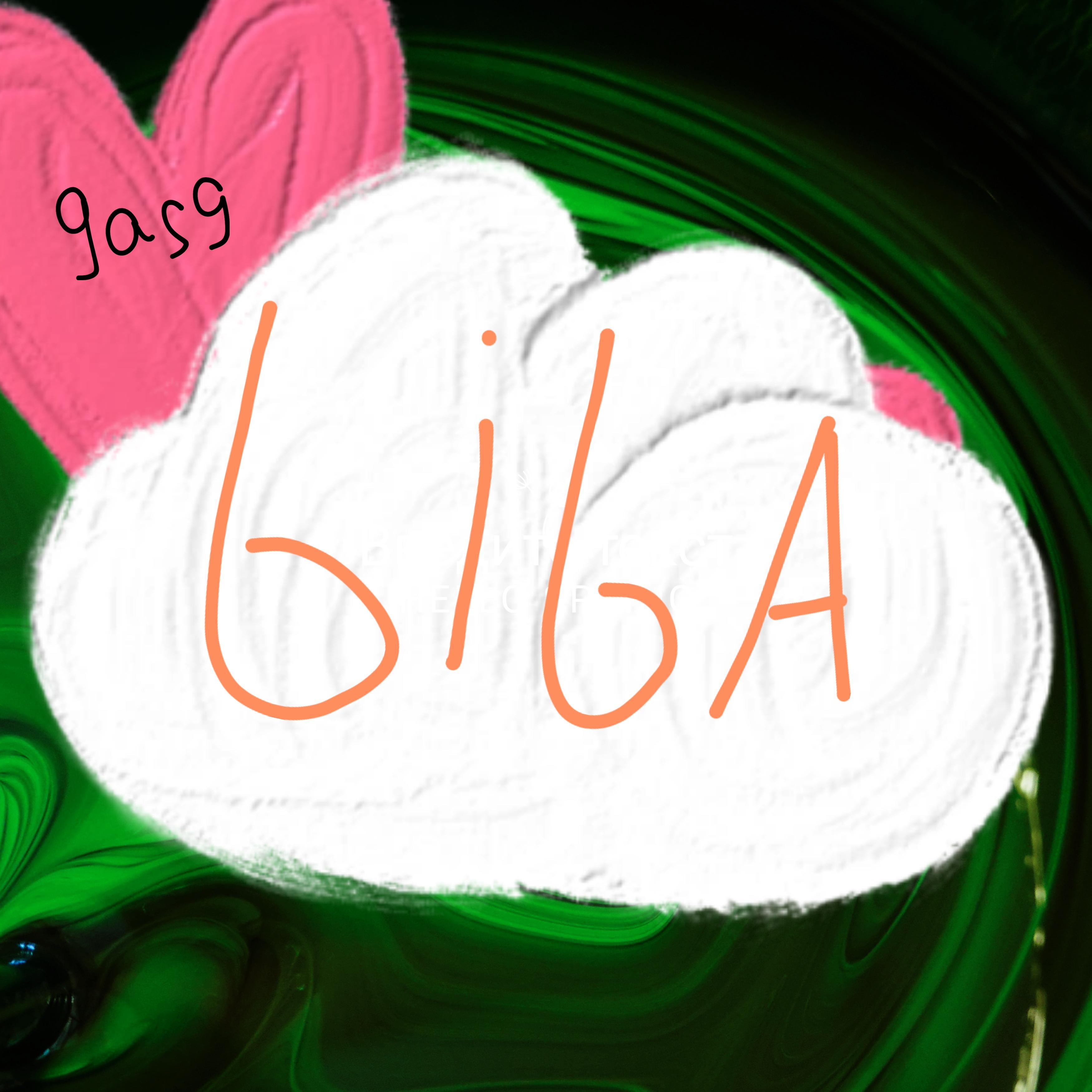 Постер альбома Biba